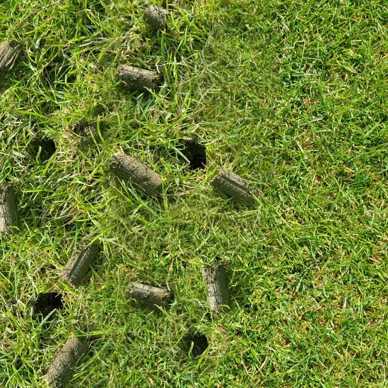 aerating-lawn-care-feature-kijenga.jpg