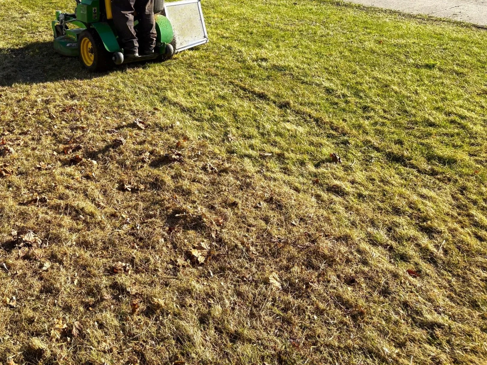 Elevate Your Landscape A blue walking lawn mower with a gasoline engine on a patchy grass lawn next to a tree.