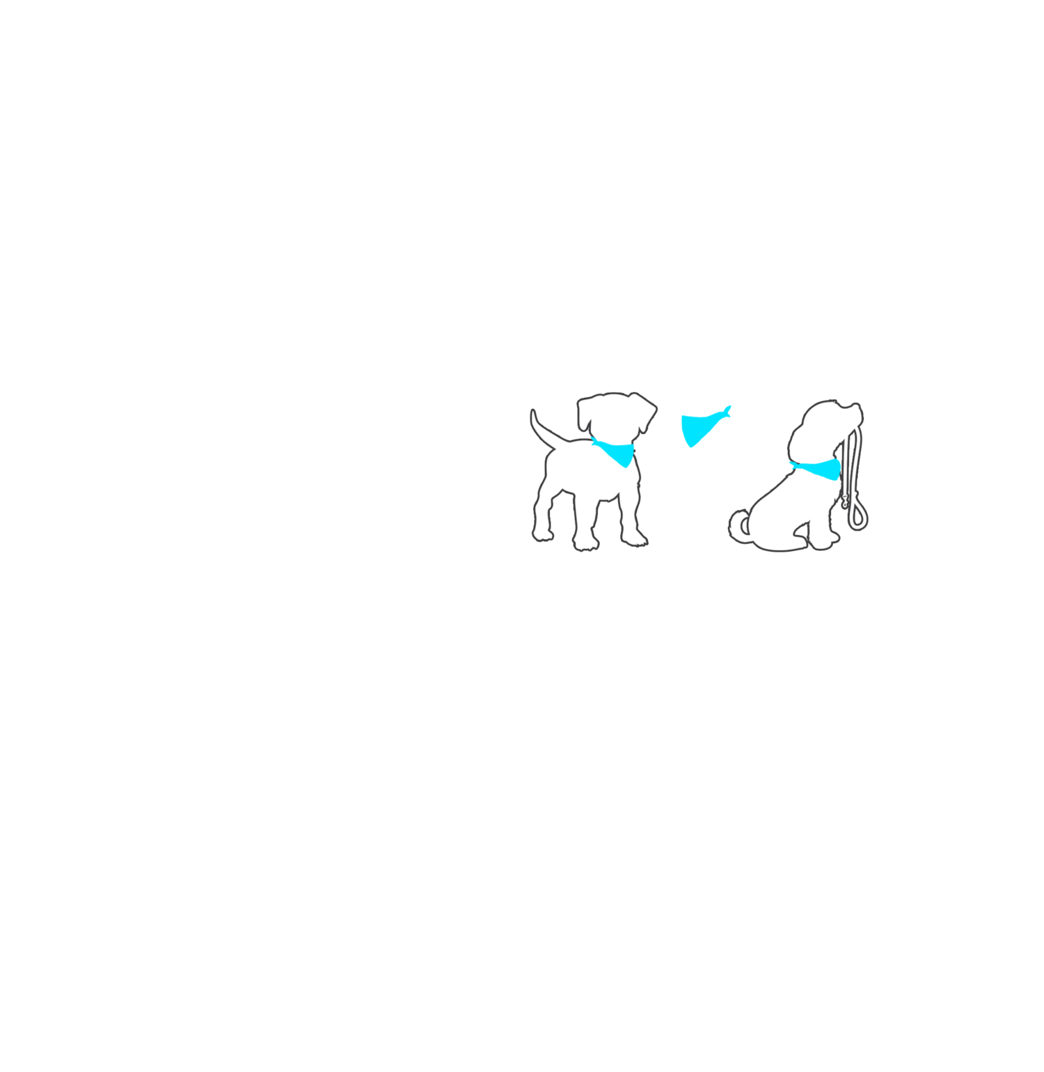 Nashville Pet Spa