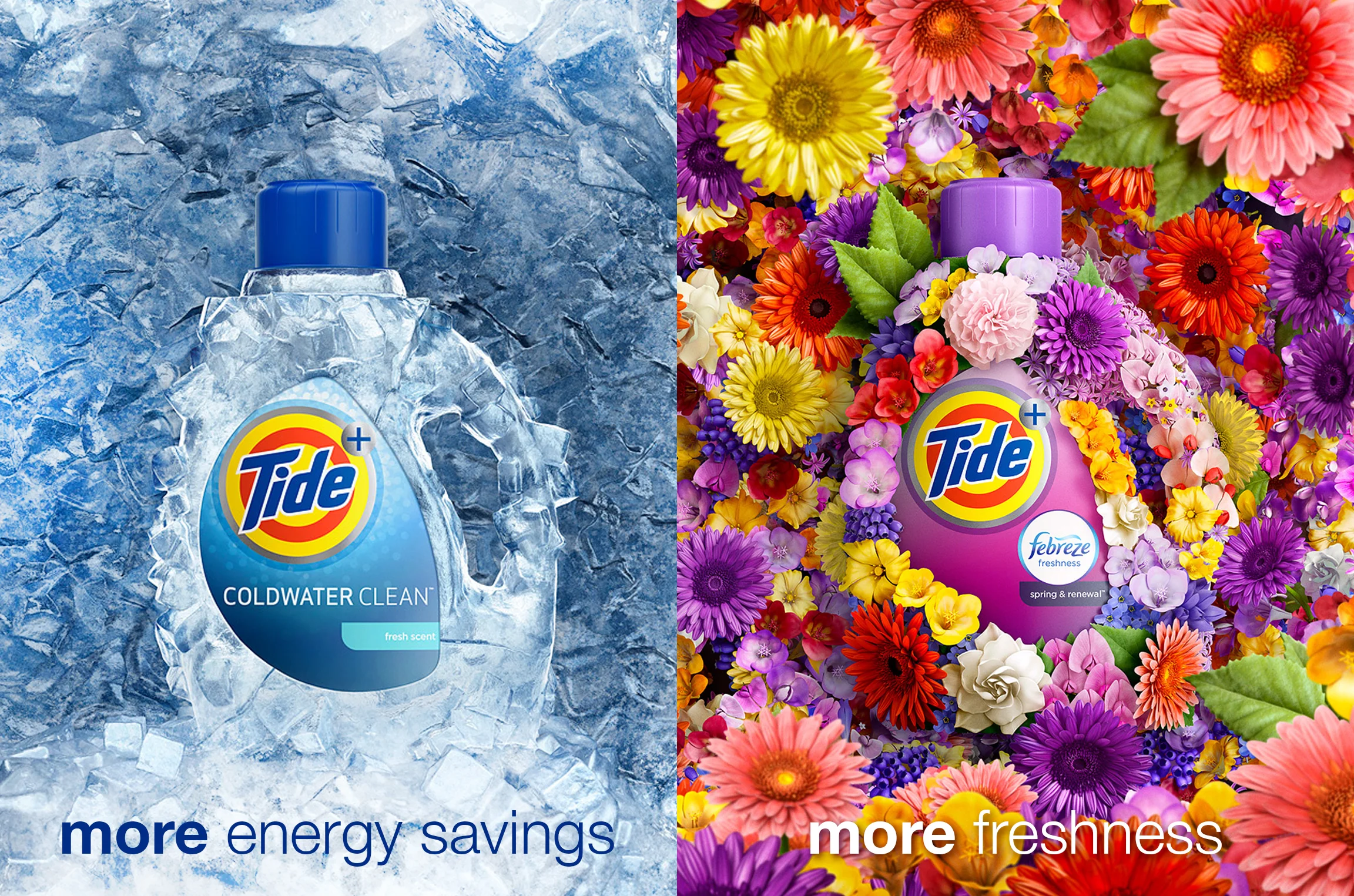 TIDEPLUS2 copy.jpg