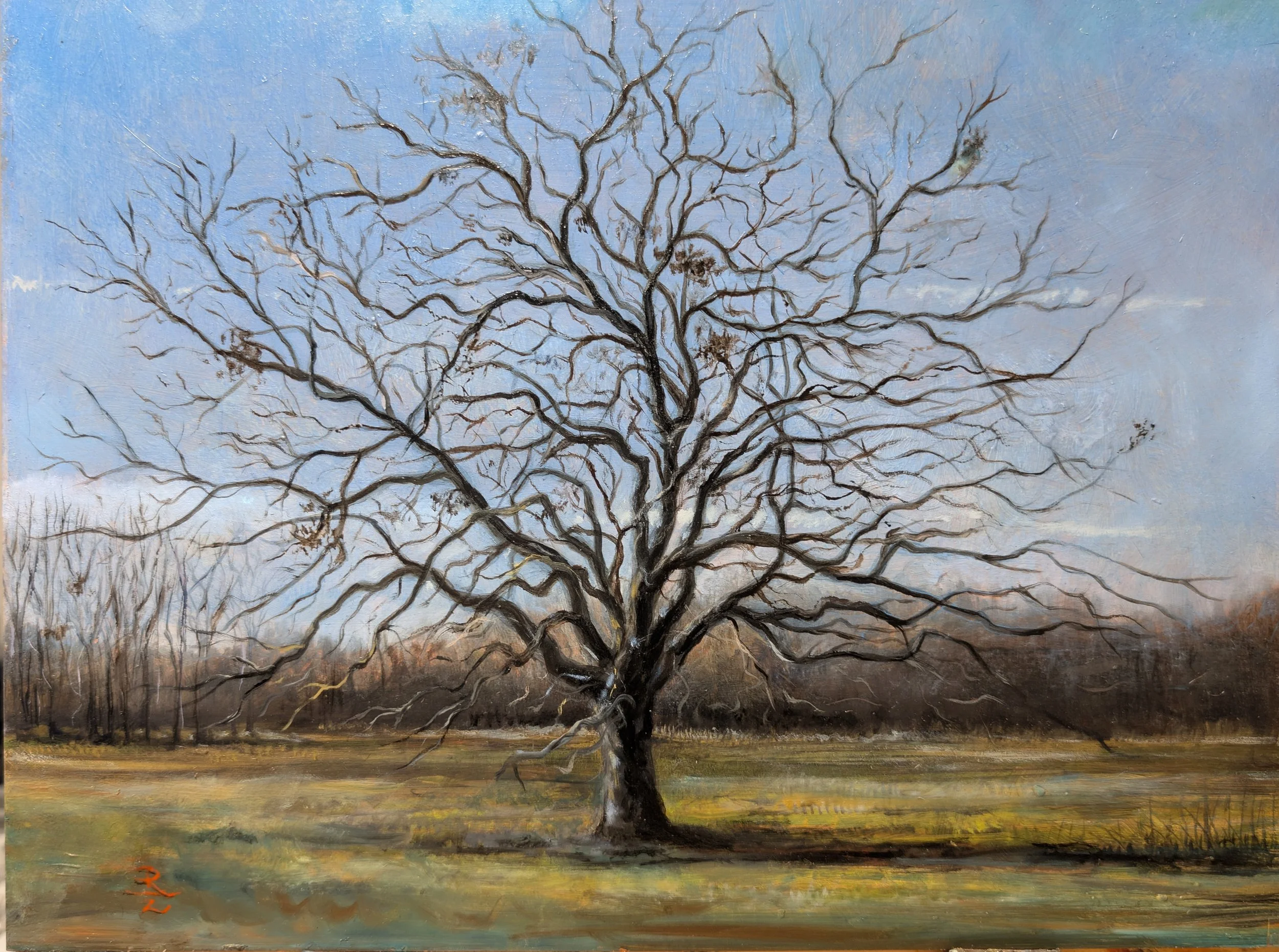 Pecan Tree in the Connemara Meadow