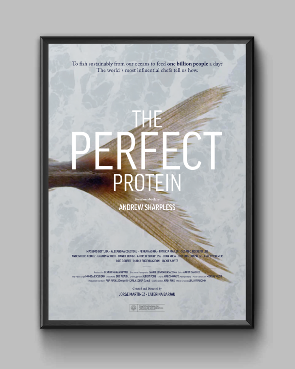  Cartel del documental 