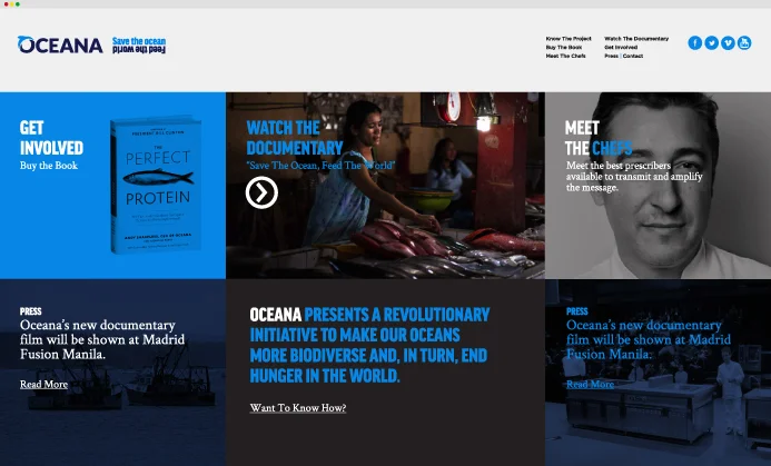  Web de campaña 