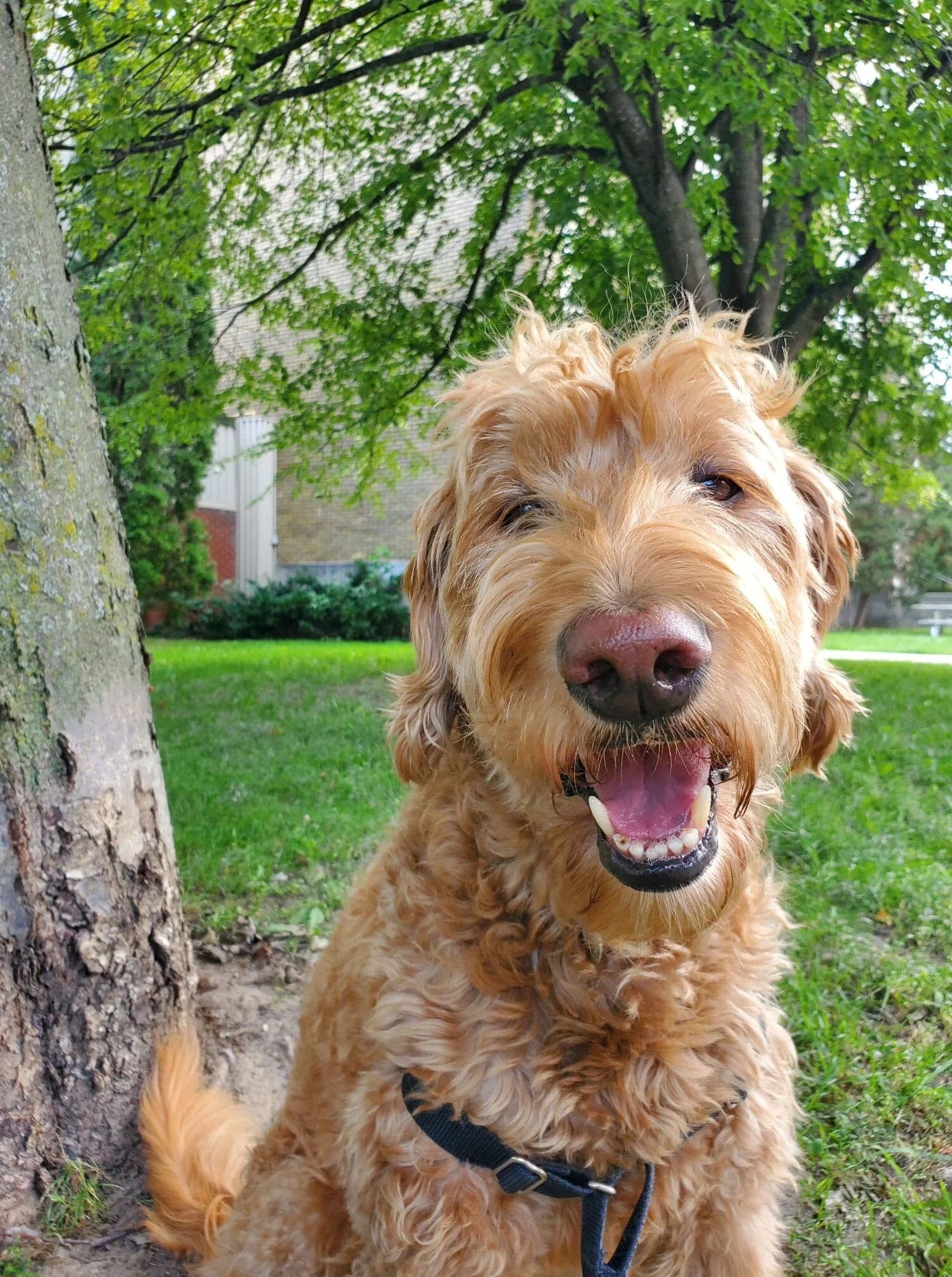 117311605_1549727628533666_9182444257687100229_n (1).jpg