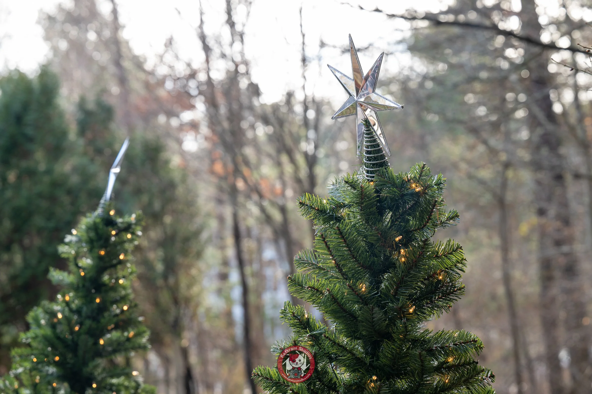 kataram melissa stephen 00003.jpg