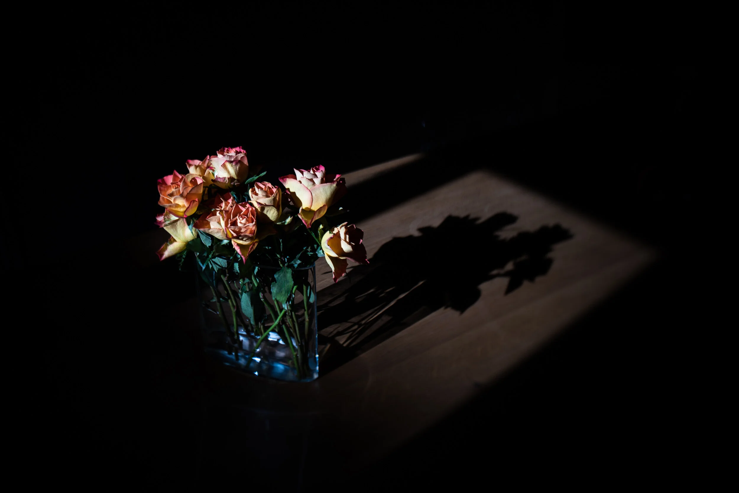 Day 8 : Tuesday 24 March 2020