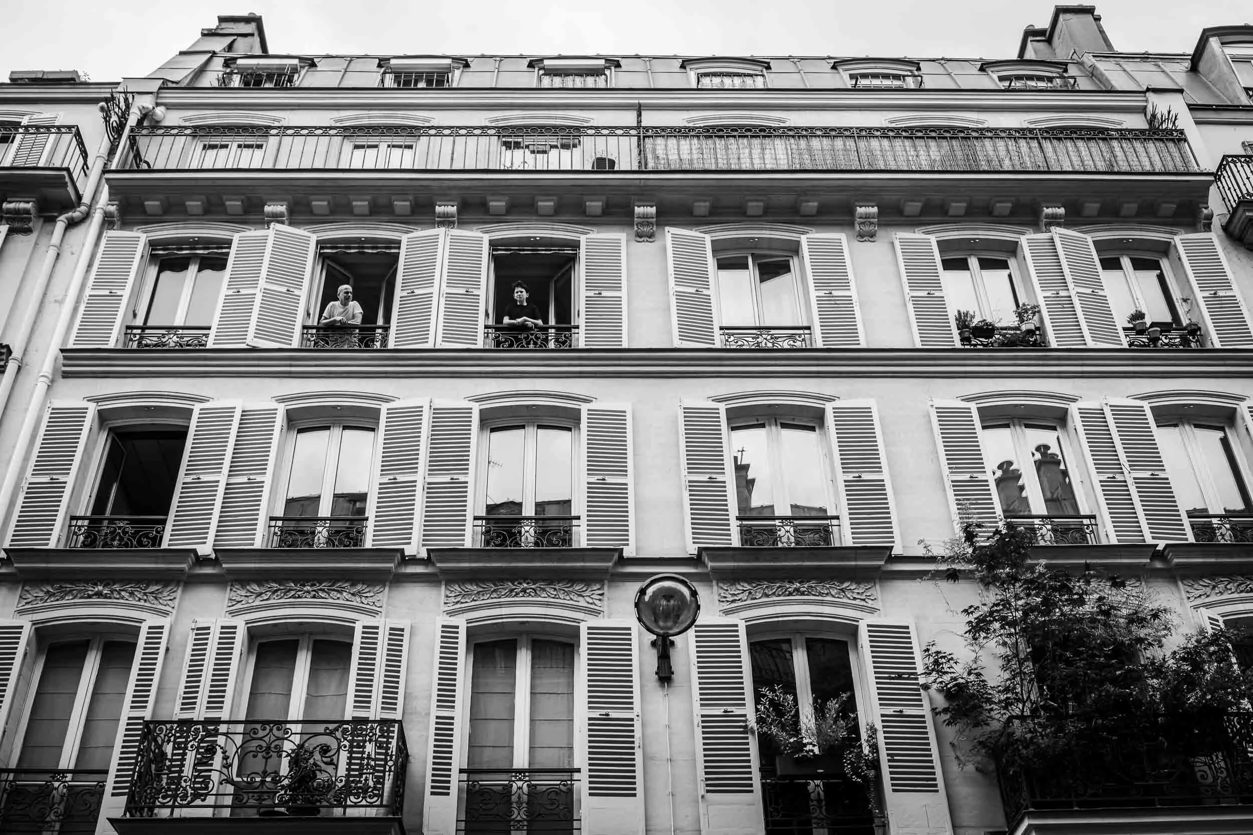 man-and-boy-looking-out-of-windows-lockdown-in-paris.jpg