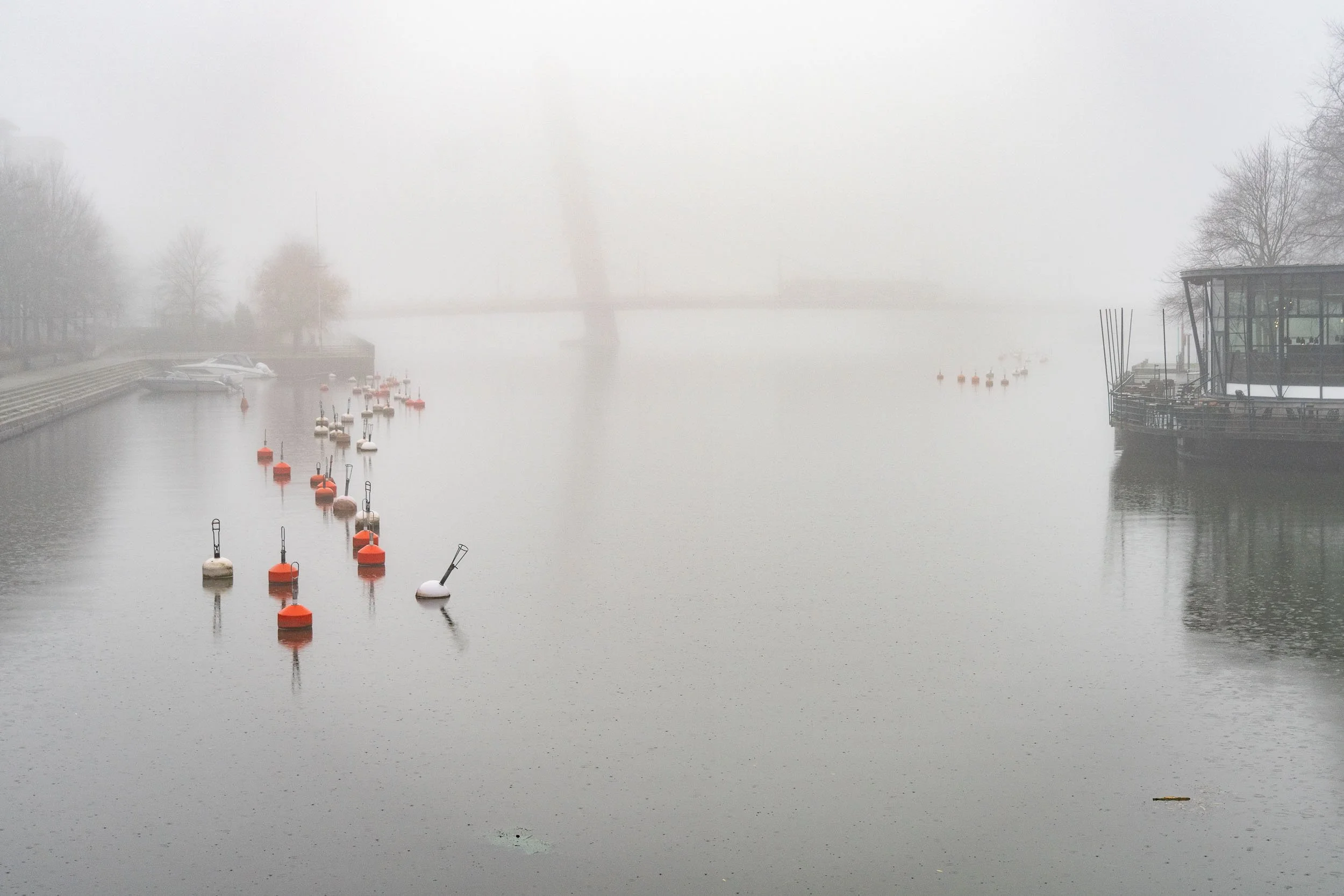 2025-25-foggy-weather-ruoholahti-helsinki-merja-varkemaa.jpg