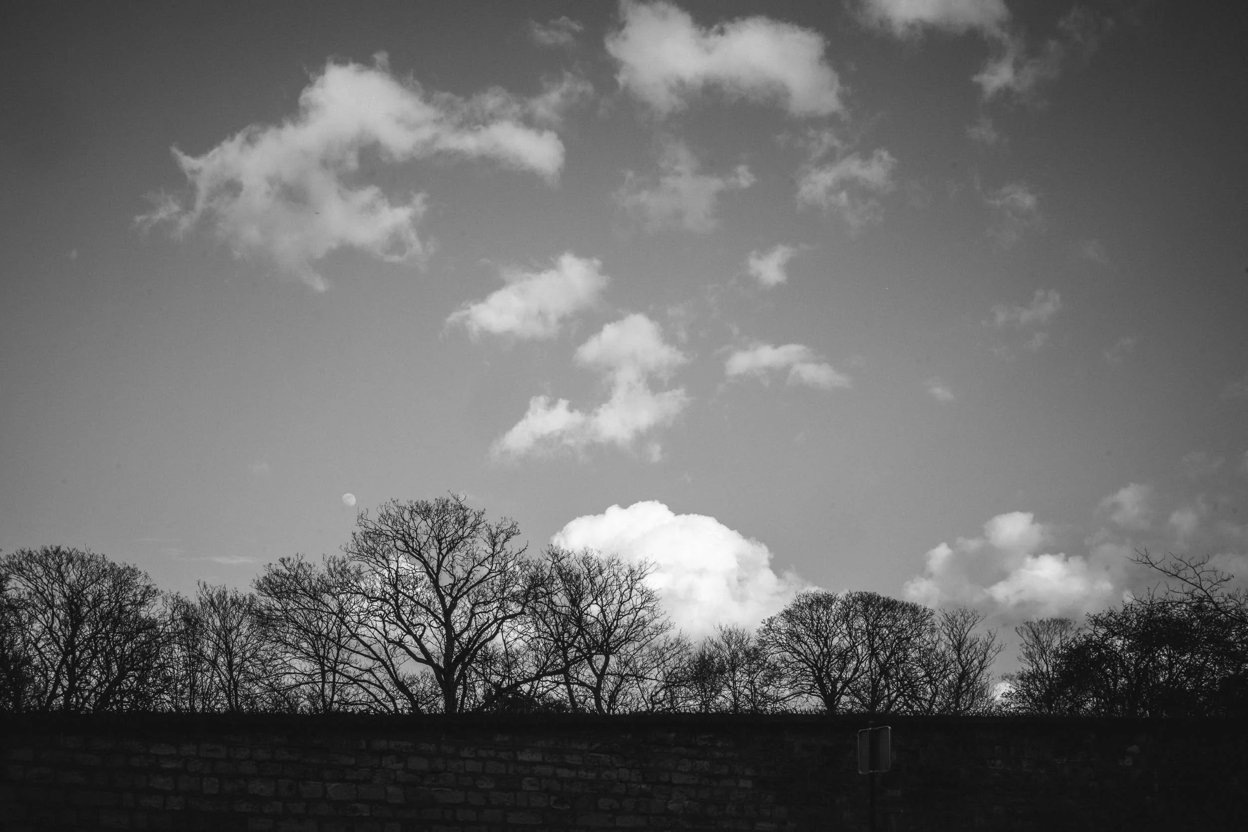 9-silhouette of trees with clouds-black and white-merja varkemaa photography.jpg