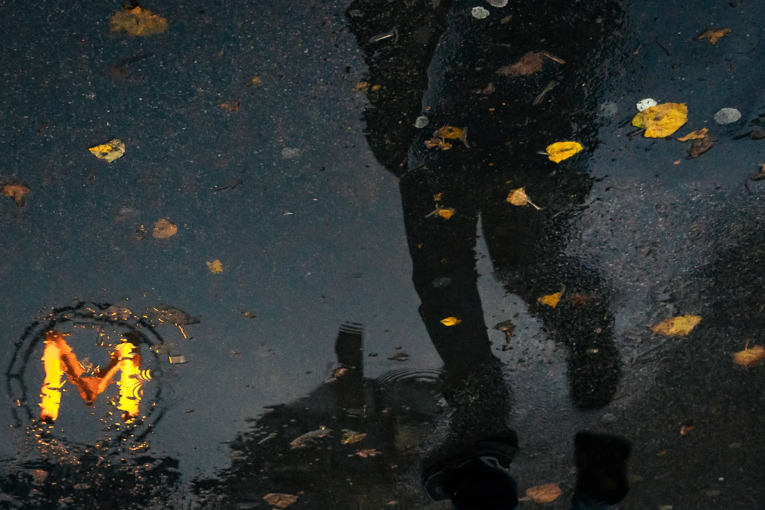 Paris-metro-sign-reflecting-wet-surface.