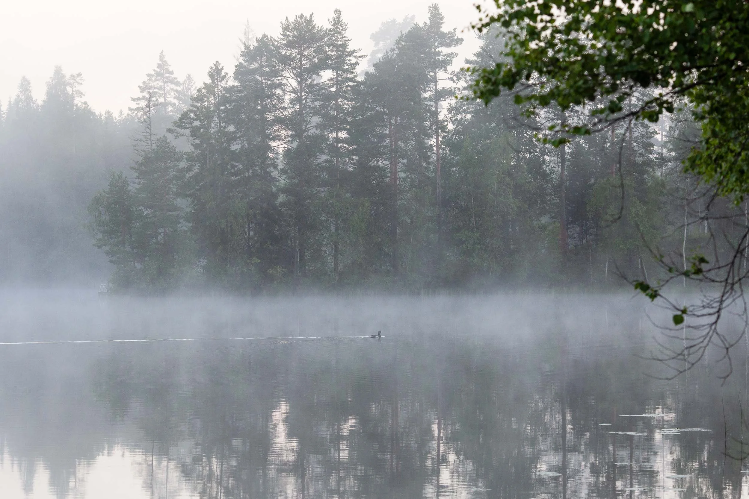 lakeside-1.jpg