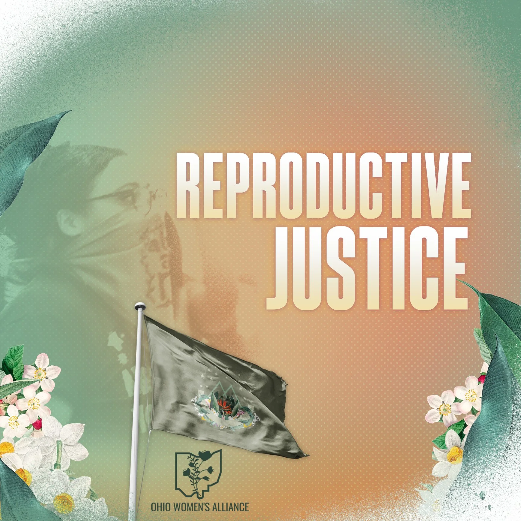 Apply for The RJ Table