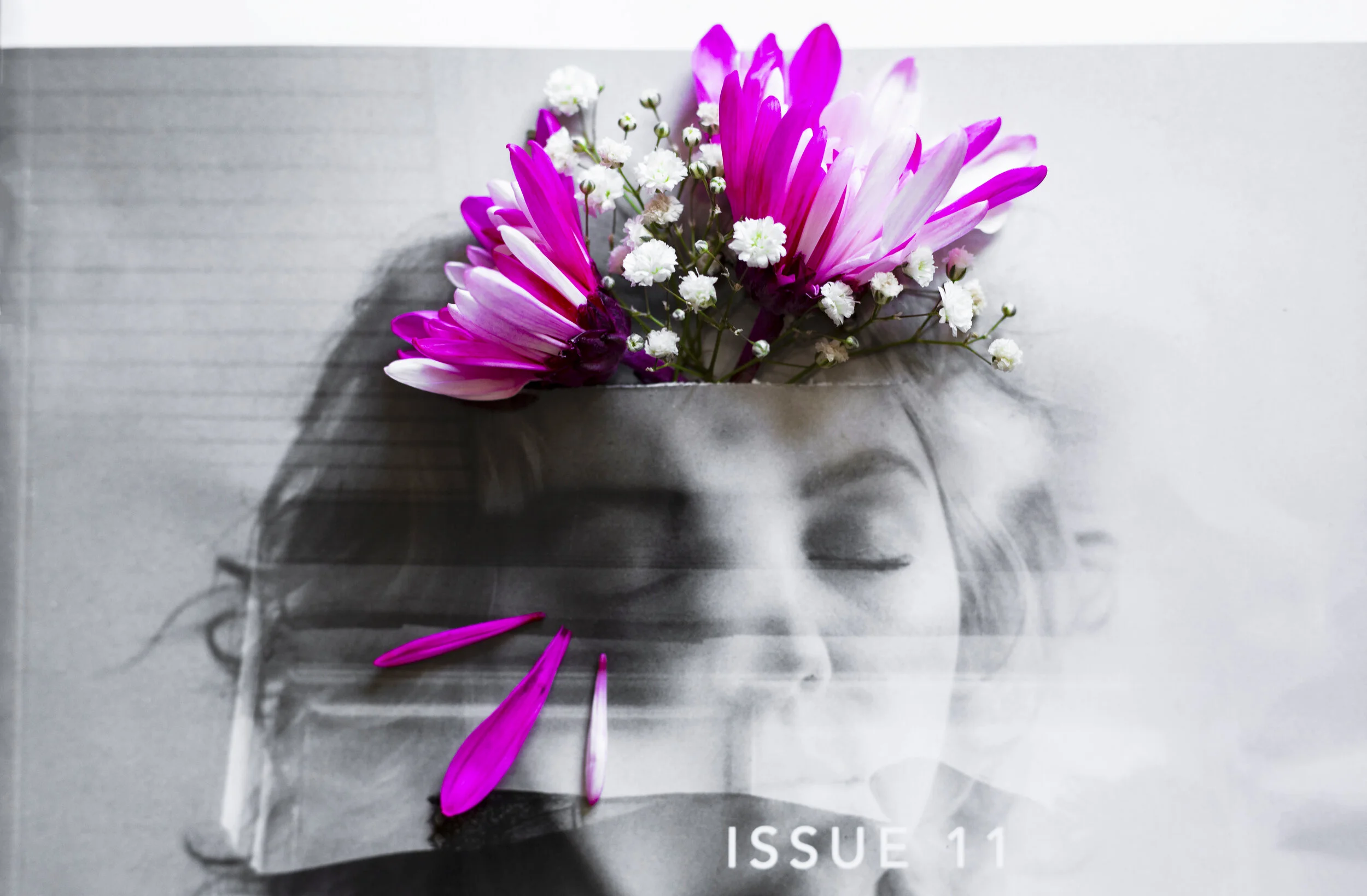  Altered image by Hailley Fayle in response to Issue 11 cover image by Nienke Izurieta. 