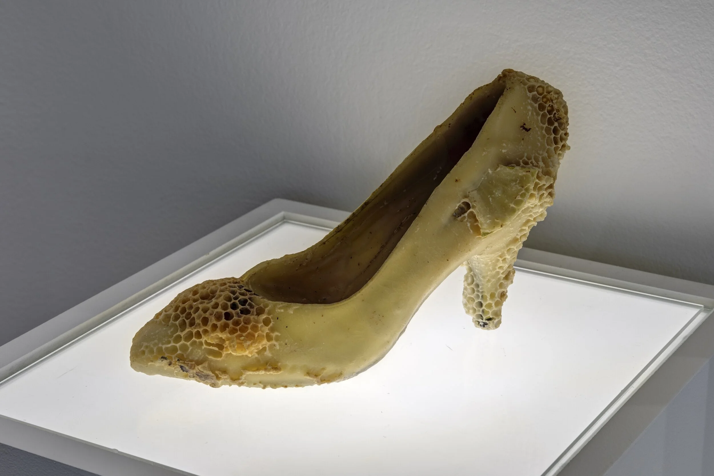 Aganetha Dyck, Cinderella’s Other Shoe , c. 1995-1998, found shoe and beeswax; work completed by honeybees. Installation shot, Fairy Tails , Owens Art Gallery, 10 January to 1 April 2020. Photo: Roger Smith
