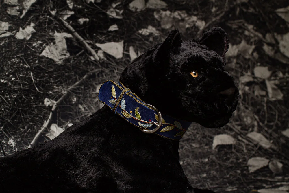 Janice Wright Cheney, The Lucivee in Captivity (detail), 2020, velvet, found fur, taxidermy form, embroidery on velvet, India ink on cotton, digital print on linen. Installation shot, Fairy Tails , Owens Art Gallery, 10 January to 1 April 2020. Photo: Jeff Crawford