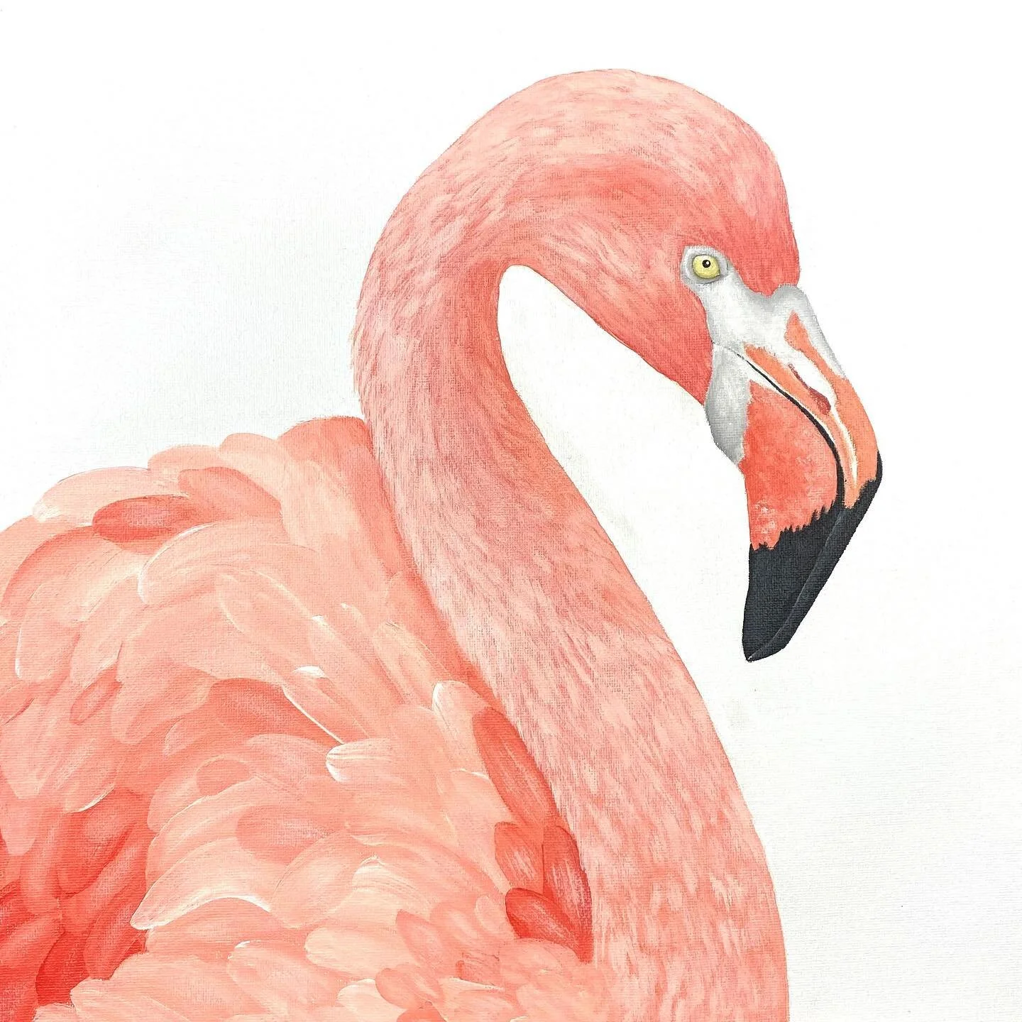 Flamingo, by Katya Chesser