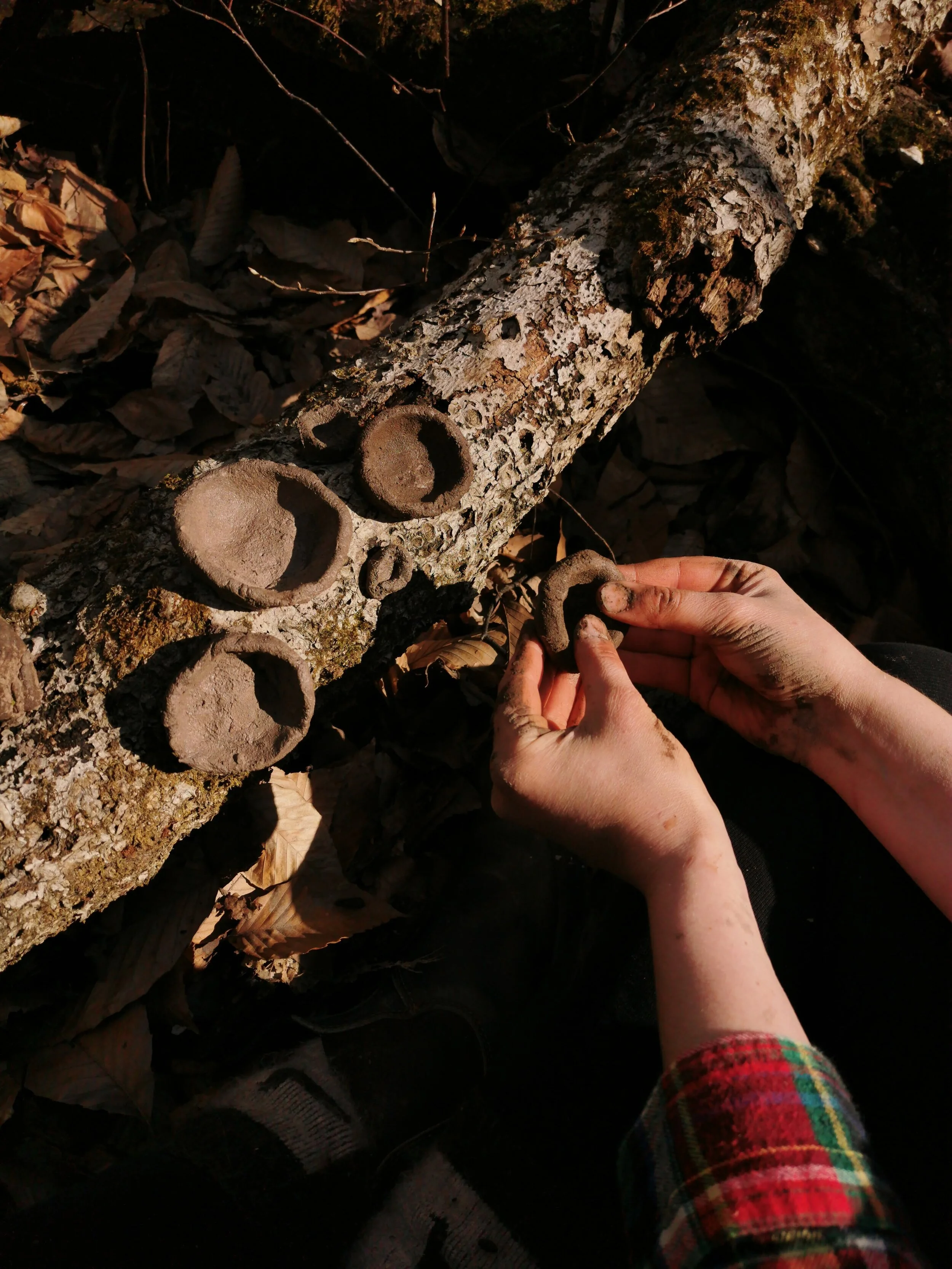 [The New Regular] Darin Squire: Connexion ARC Isolation Projects