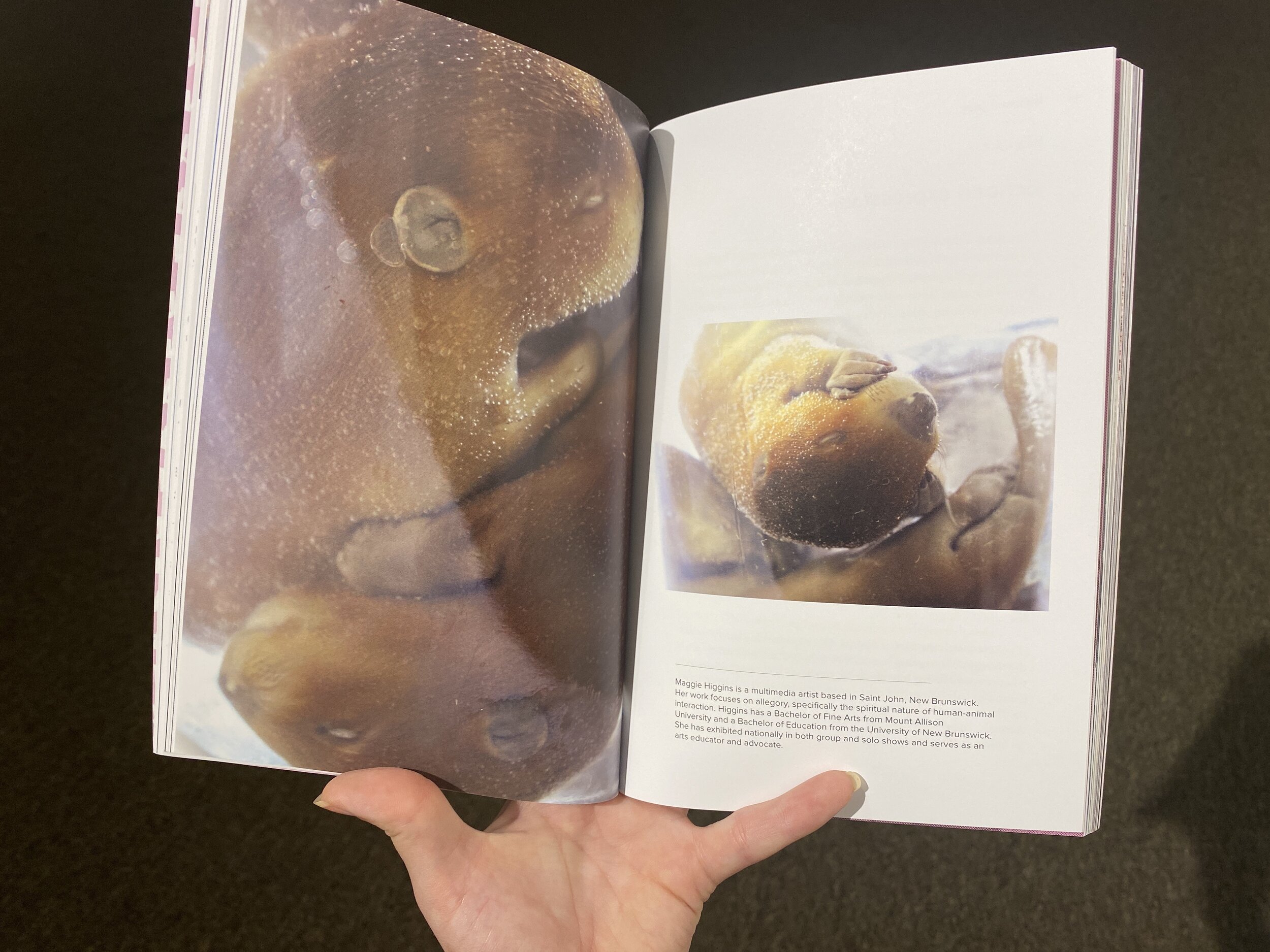  Maggie Higgins holds her published work in  Harbour: A Compendium.  