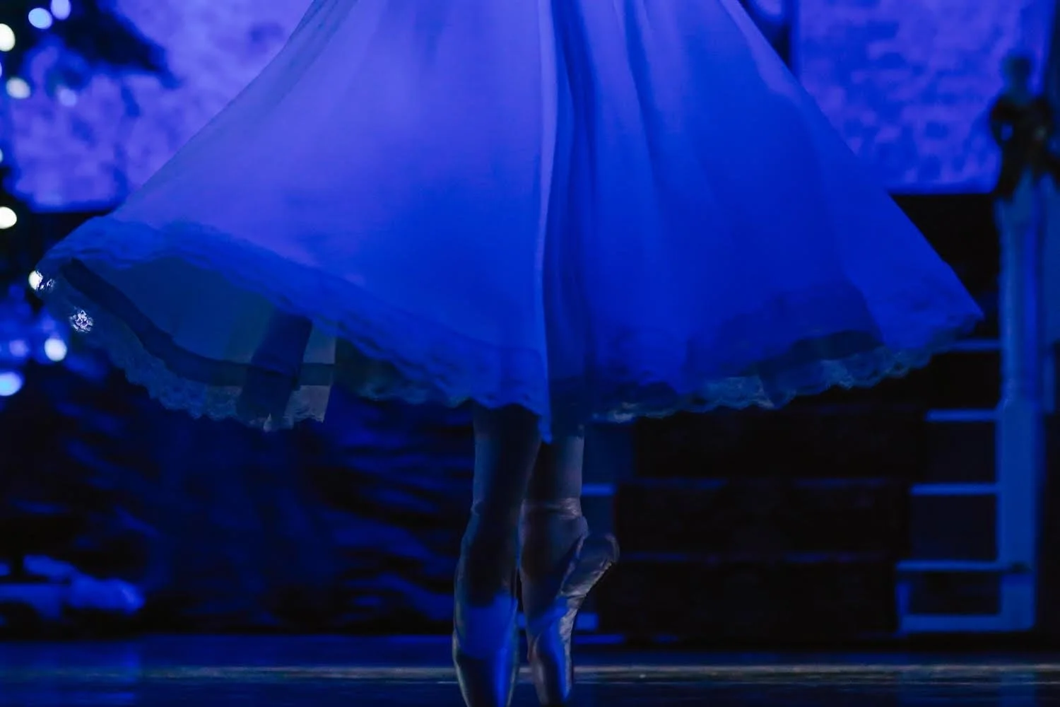 Photo by Carolyn Snow Devito