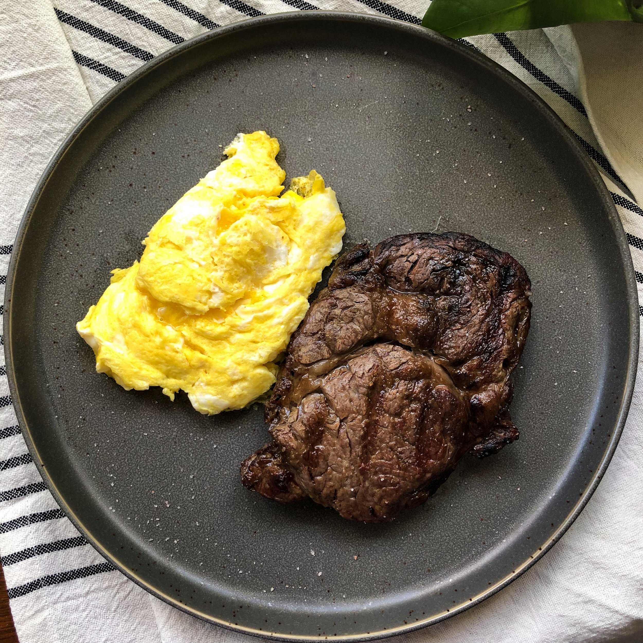 carnivore diet meal plan recipes
