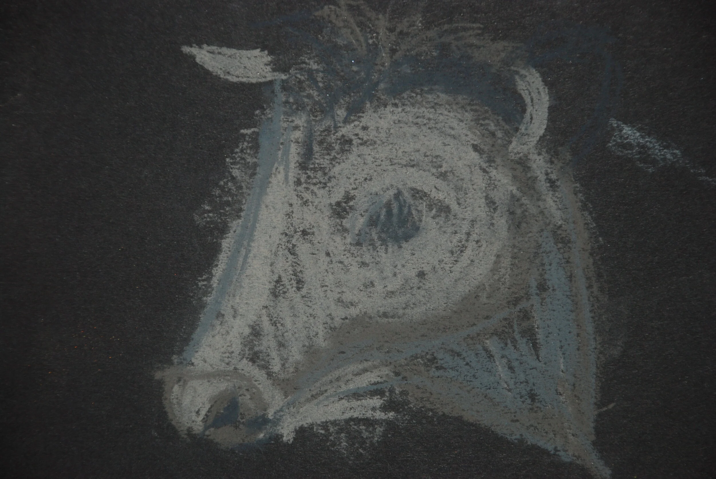 Cow drawing.JPG