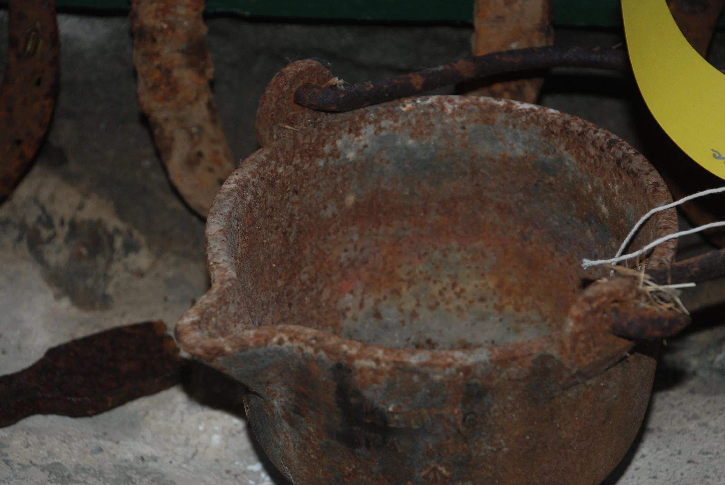 DSC_0439.jpg