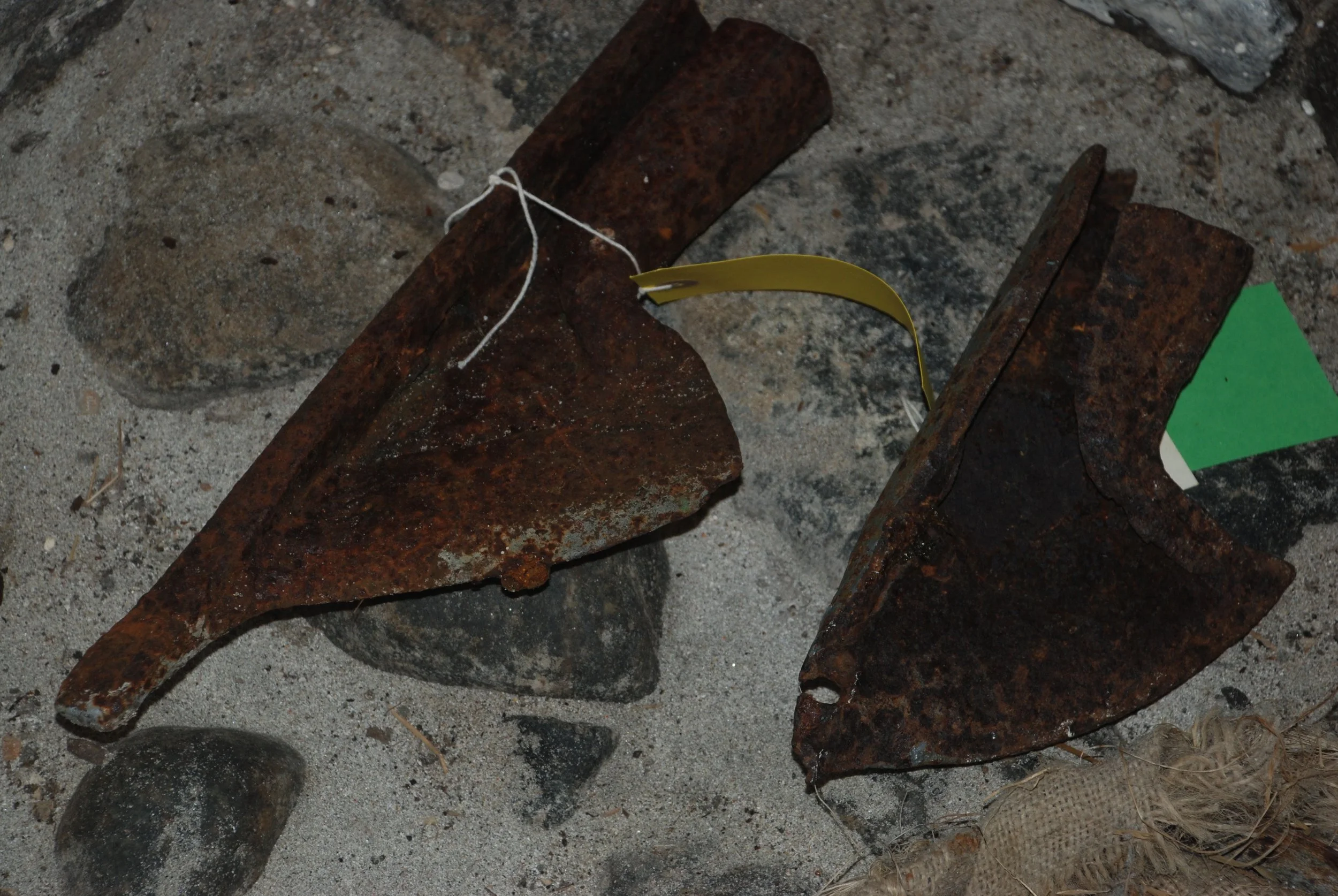 DSC_0440.jpg