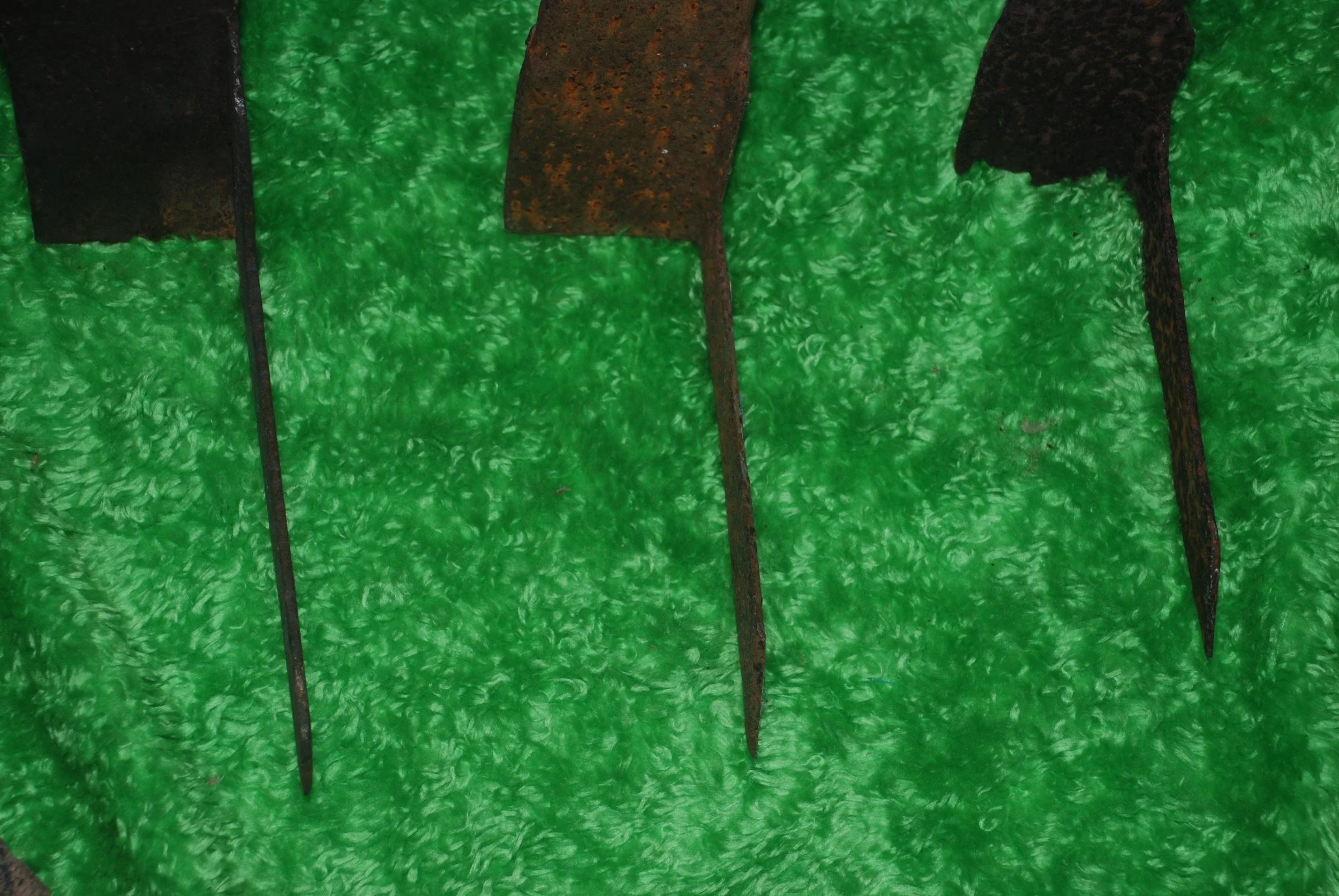 DSC_0446.jpg
