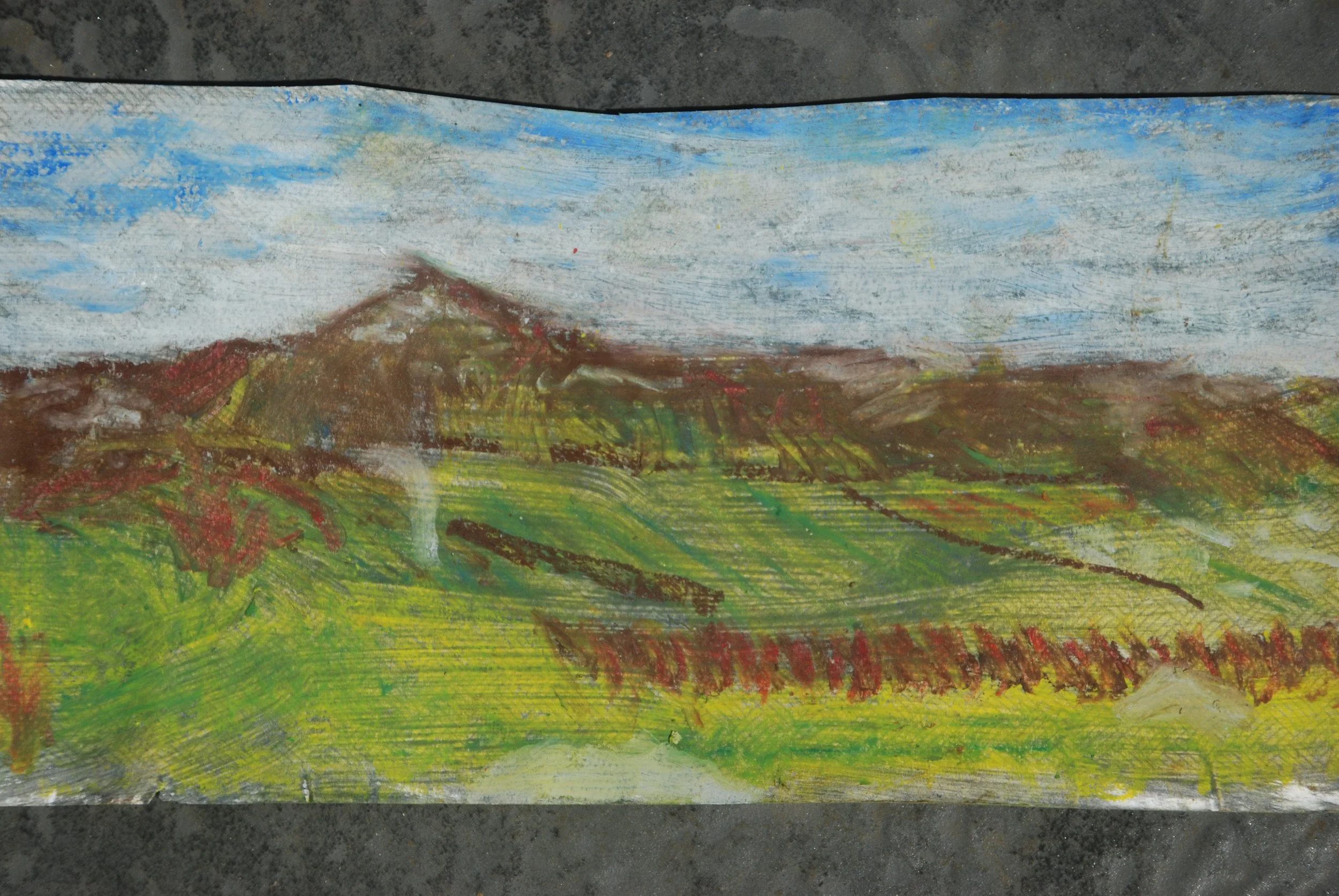 DSC_0818.JPG