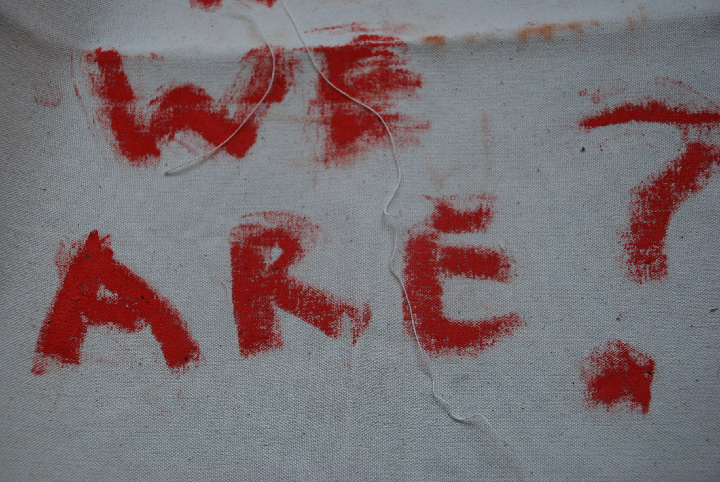 DSC_0012.JPG