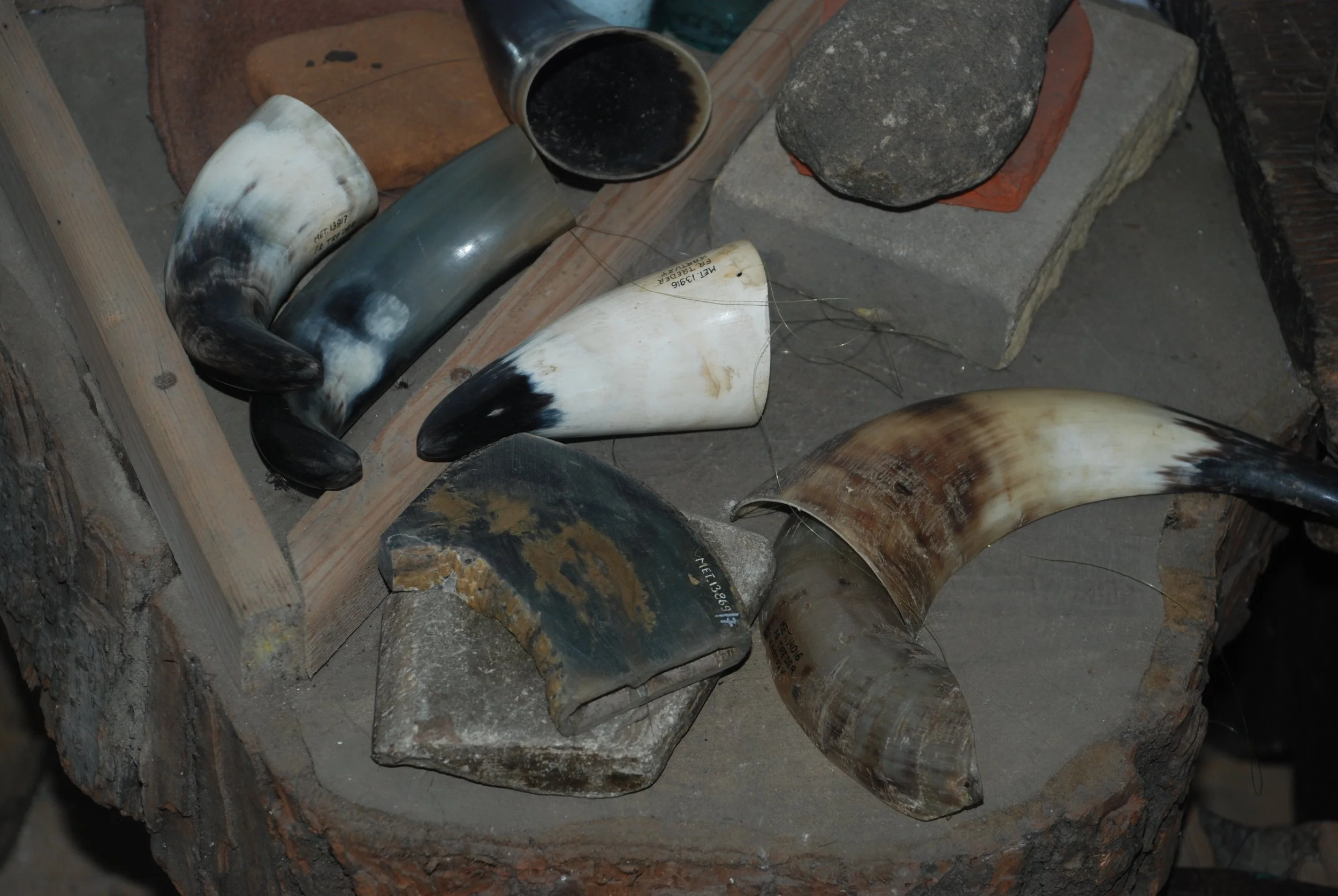 DSC_0338.JPG