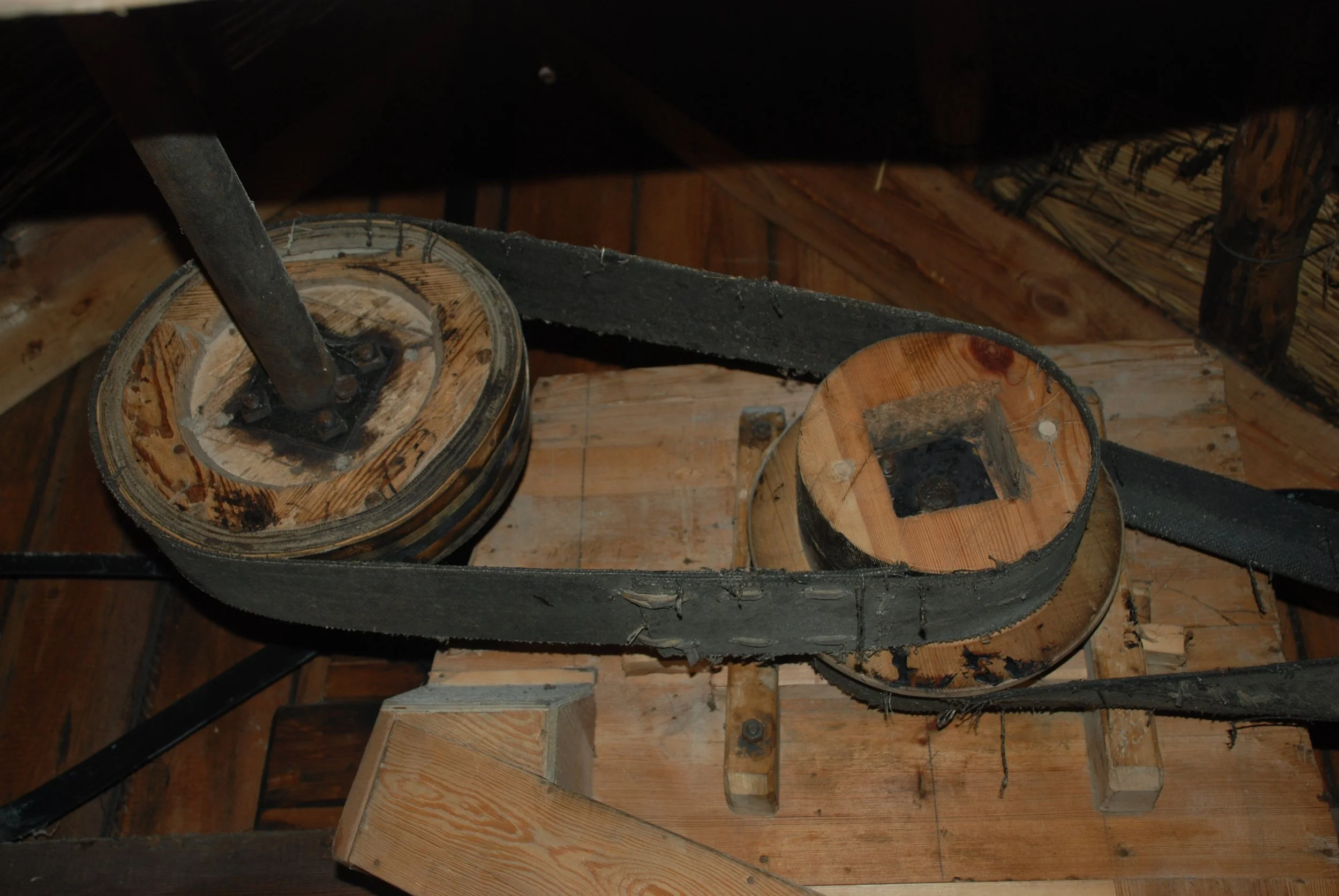 DSC_0342.JPG