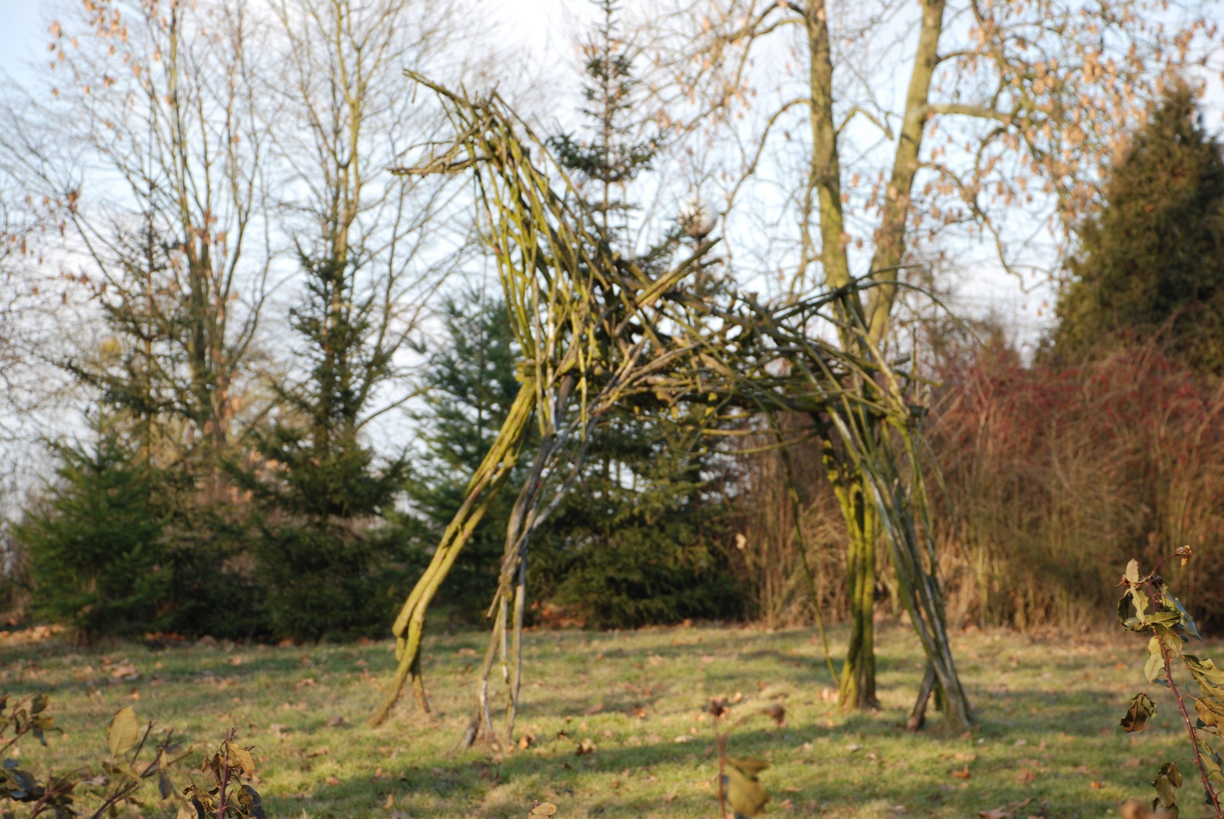 DSC_0449.JPG