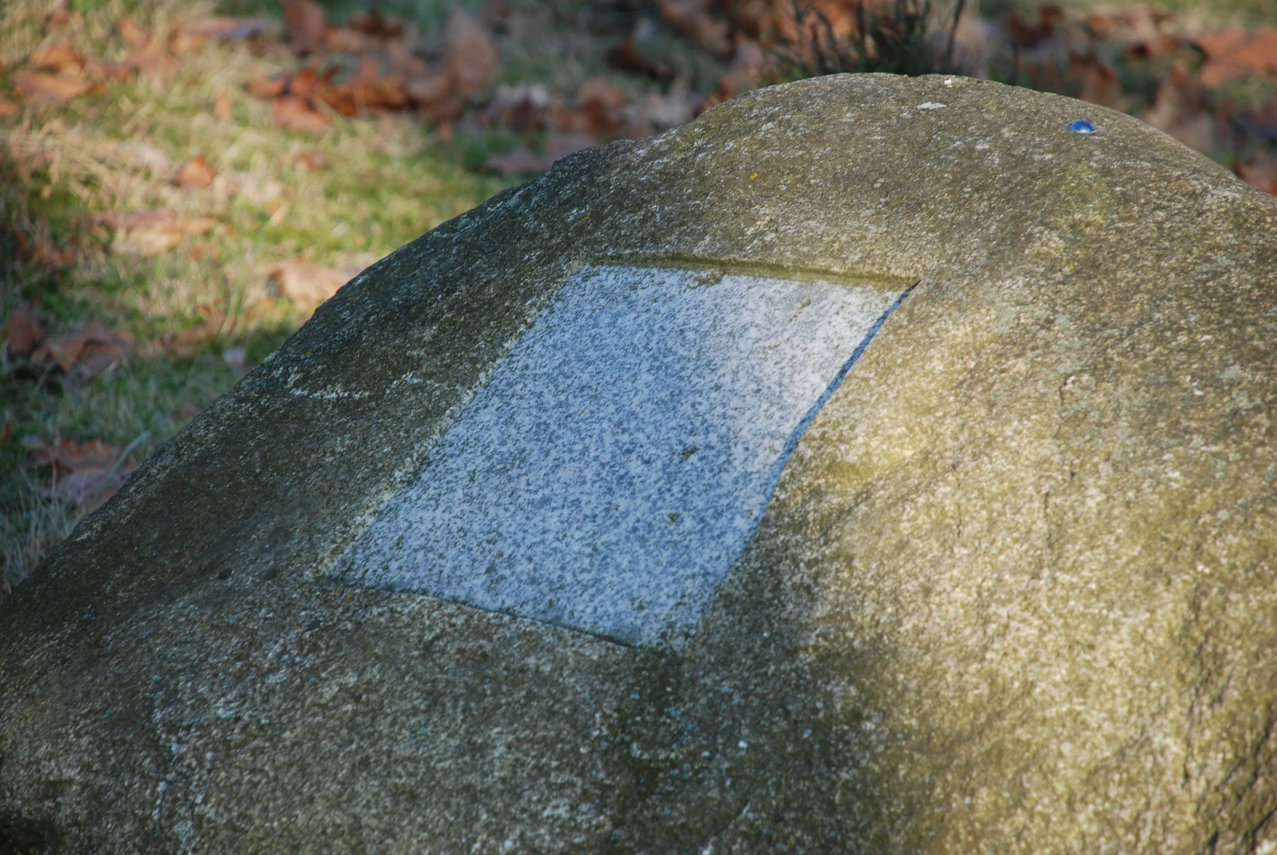 DSC_0454.JPG