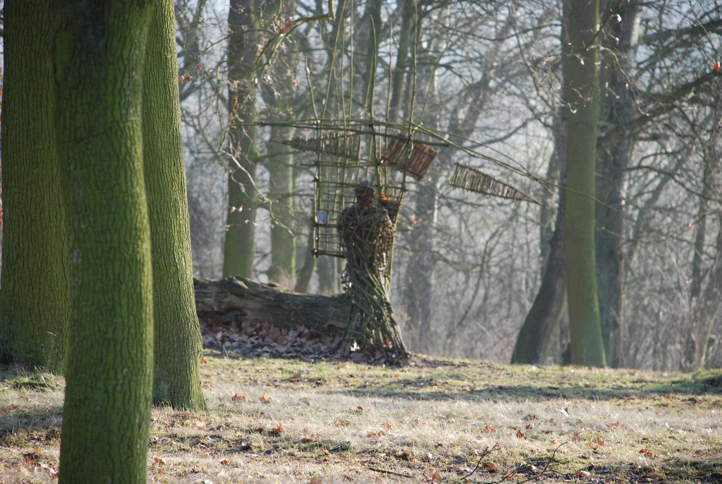 DSC_0455.JPG