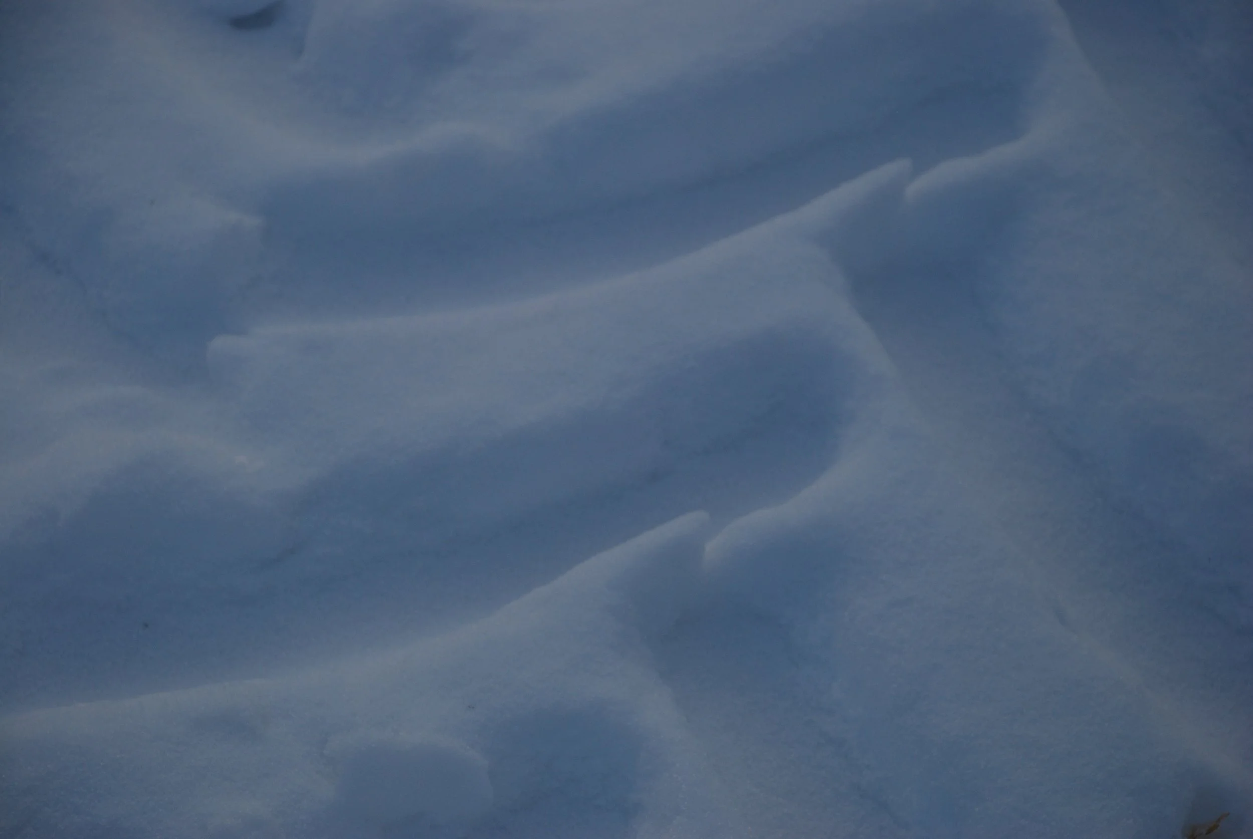 DSC_0568.JPG