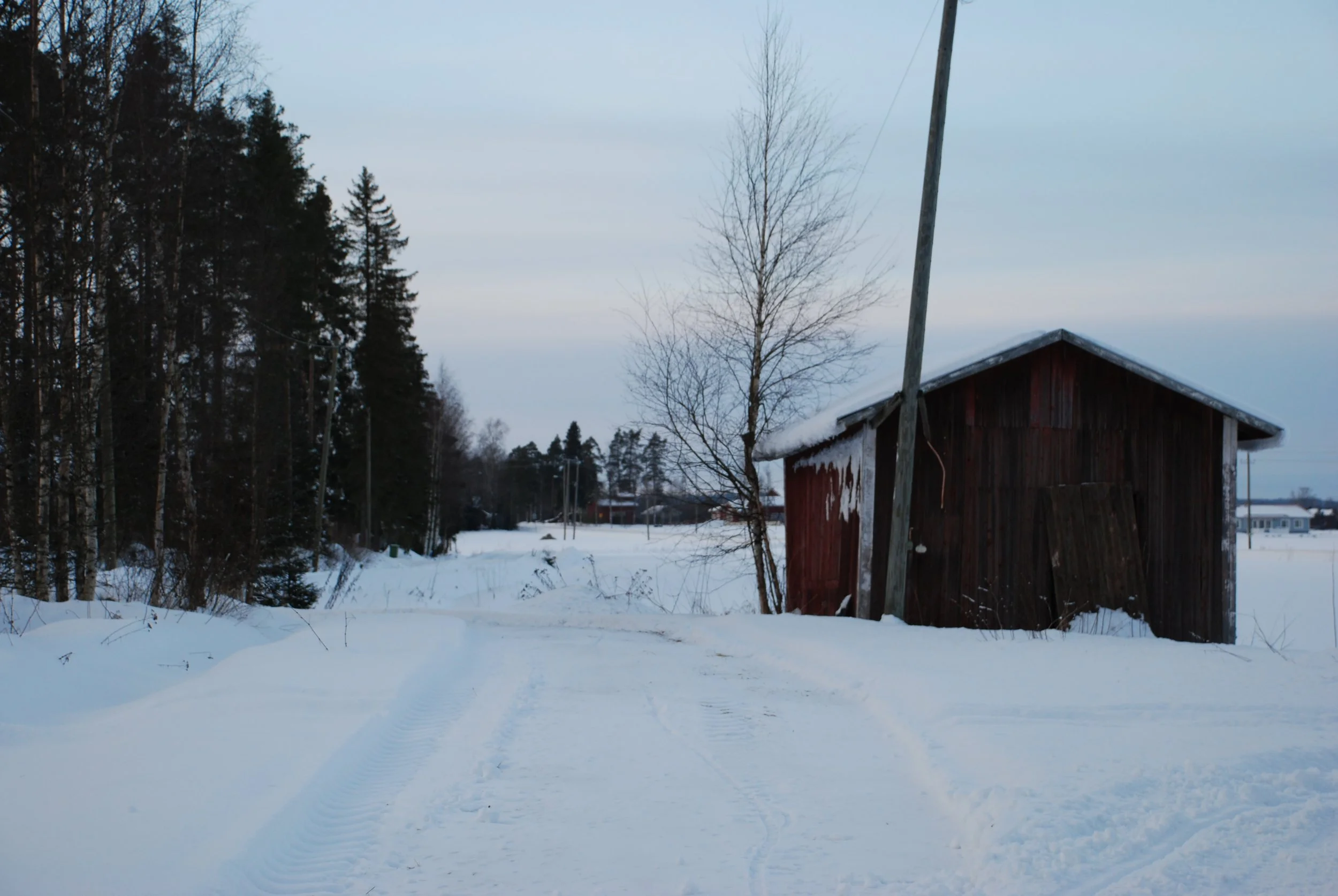DSC_0569.JPG