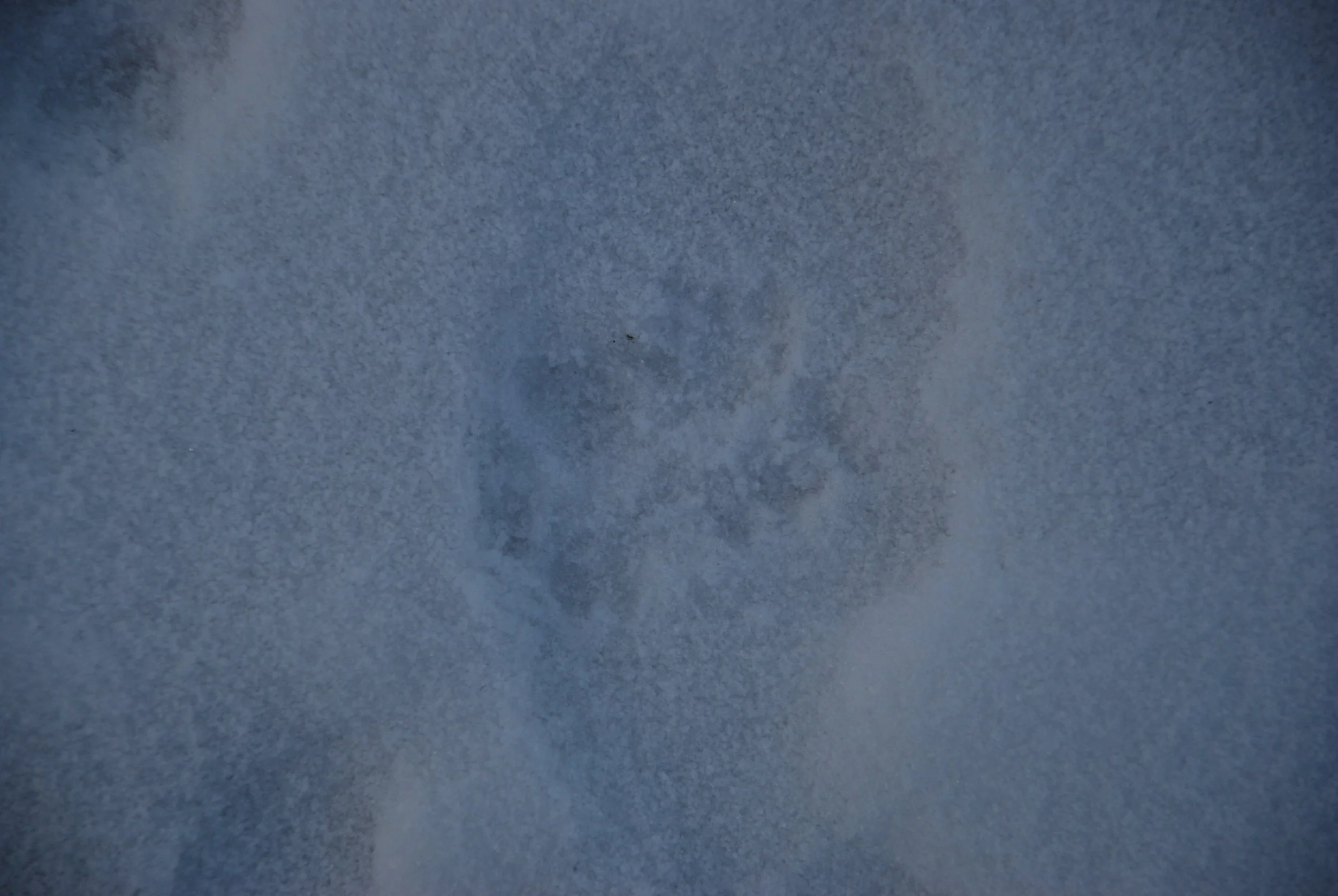 DSC_0575.JPG