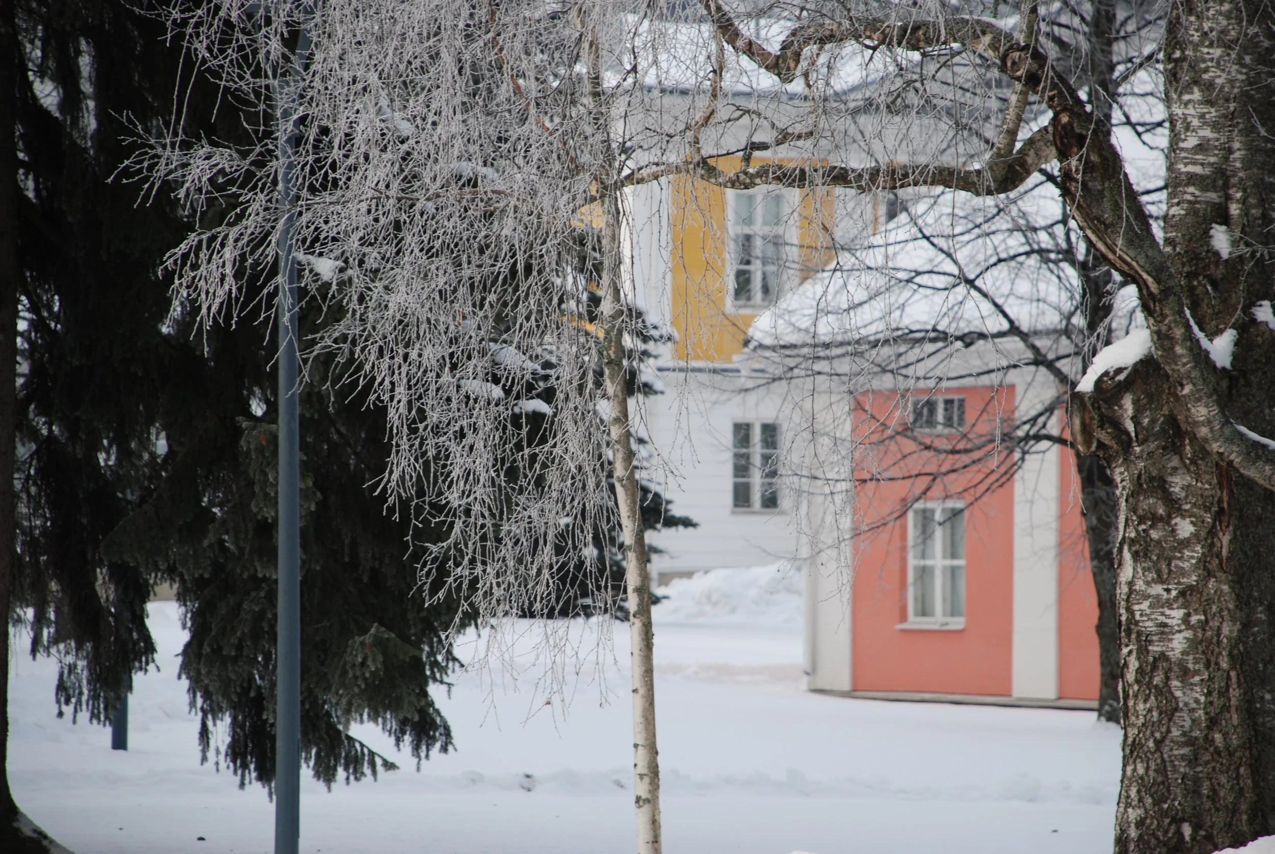 DSC_0646.JPG