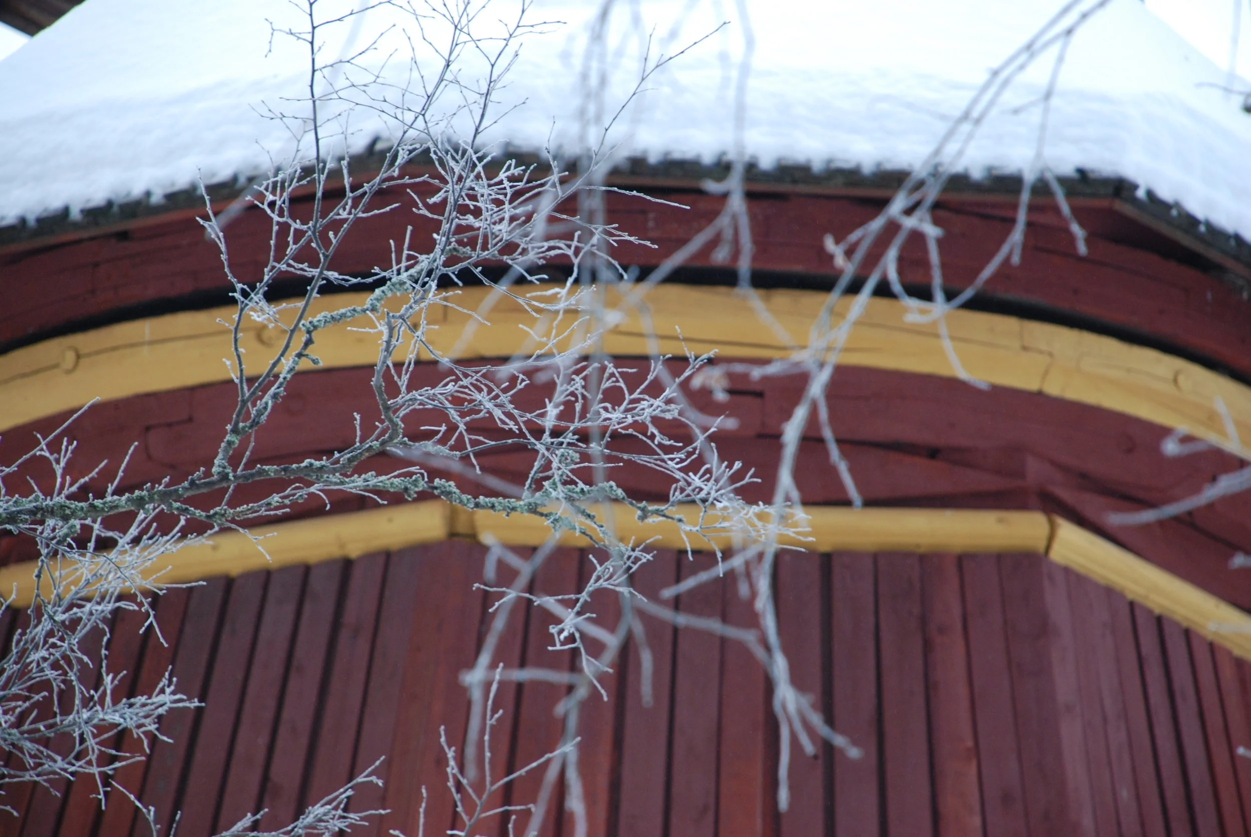 DSC_0687.JPG