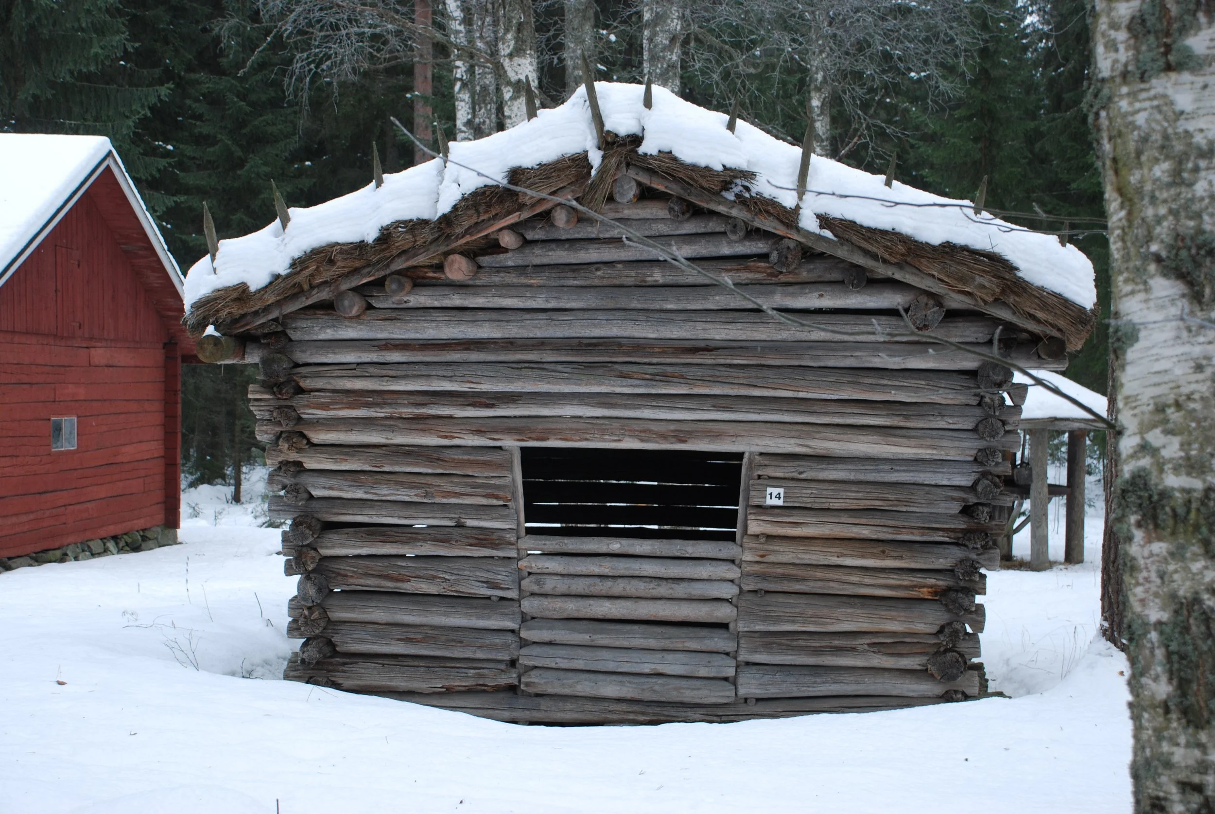 DSC_0689.JPG