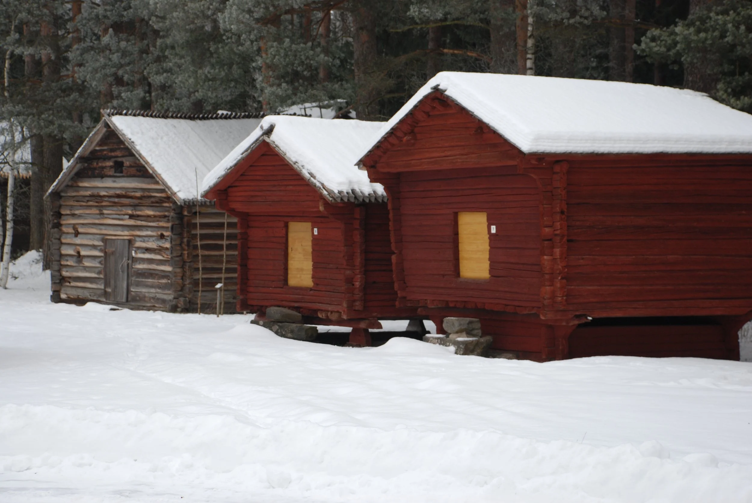 DSC_0695.JPG