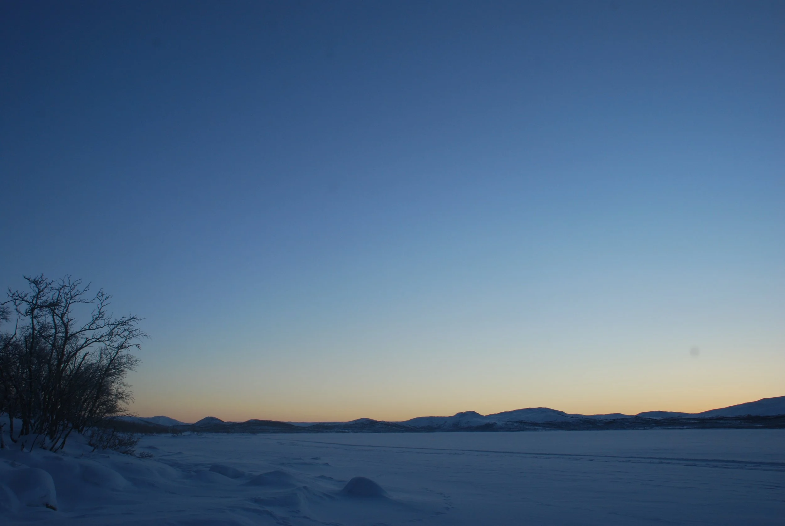 DSC_0040.JPG