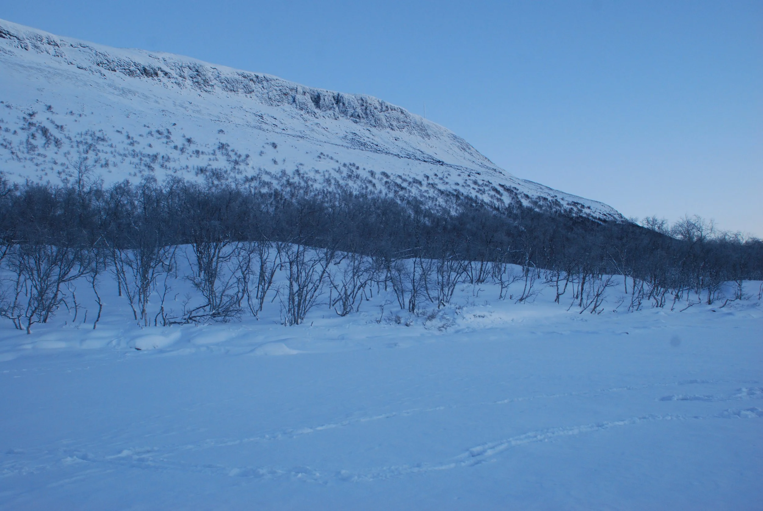 DSC_0050.JPG