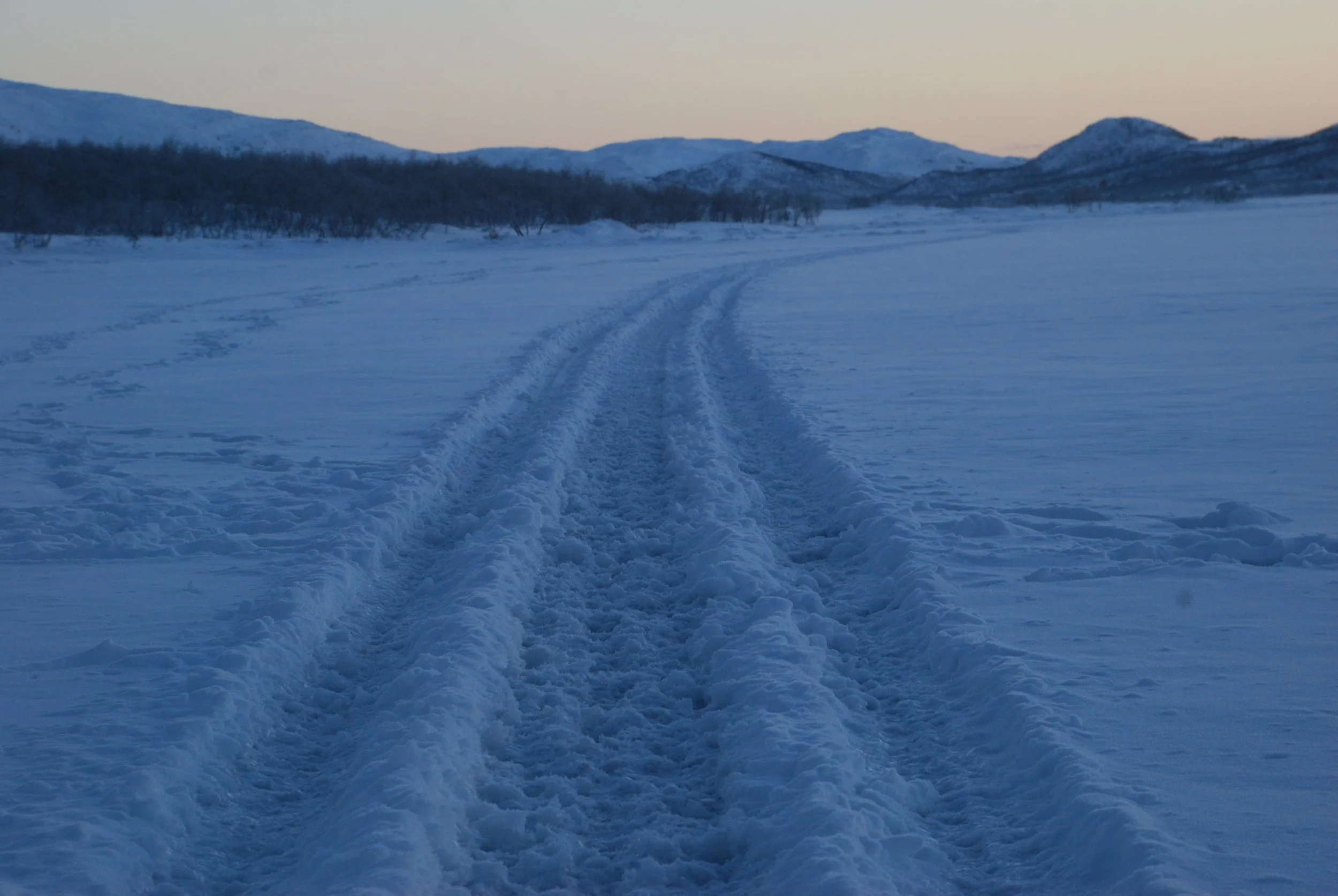 DSC_0051.JPG
