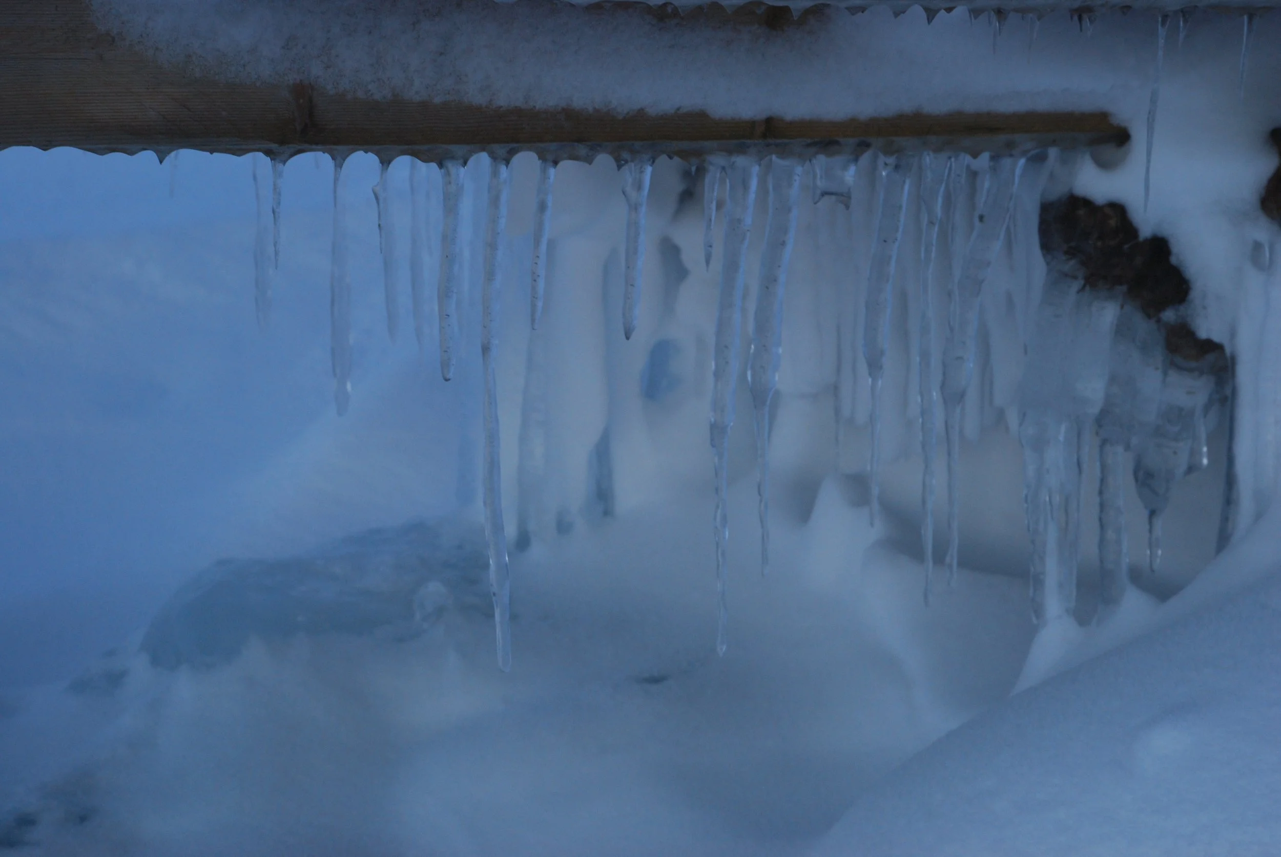 DSC_0060.JPG