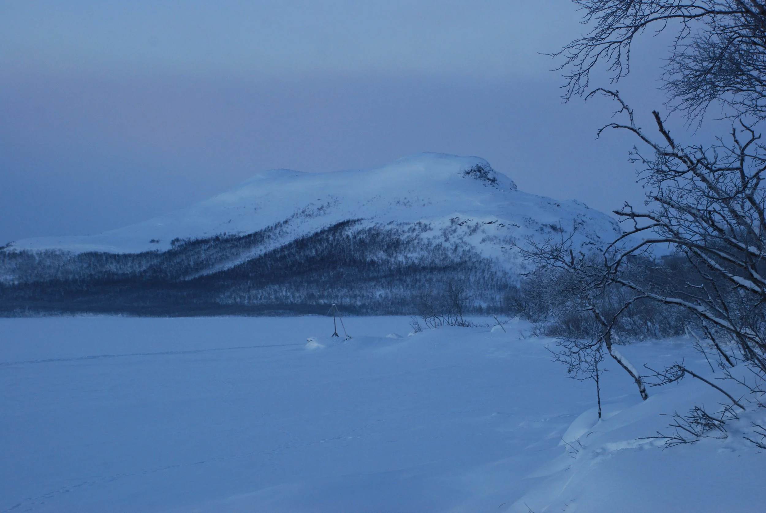 DSC_0062.JPG
