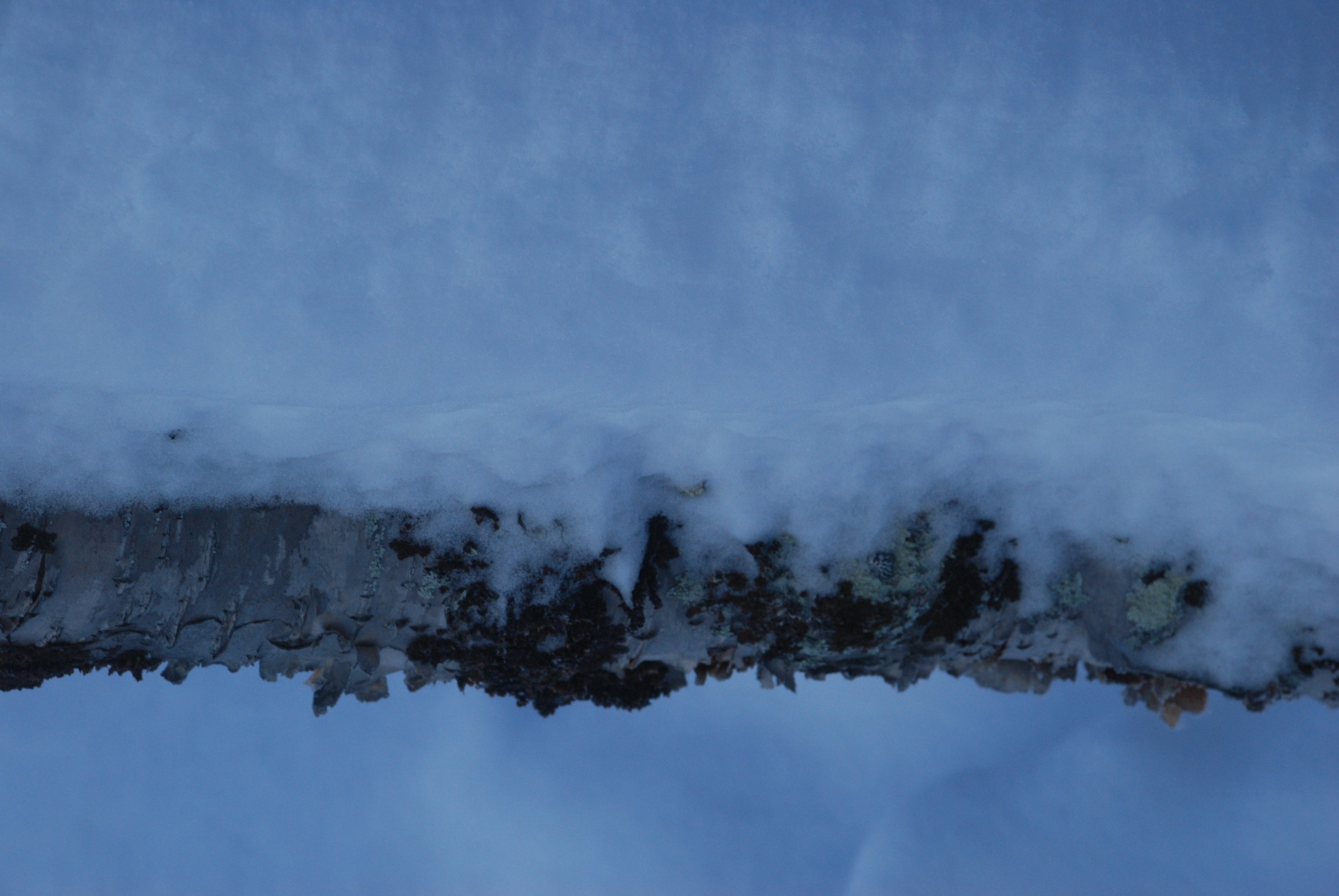 DSC_0063.JPG