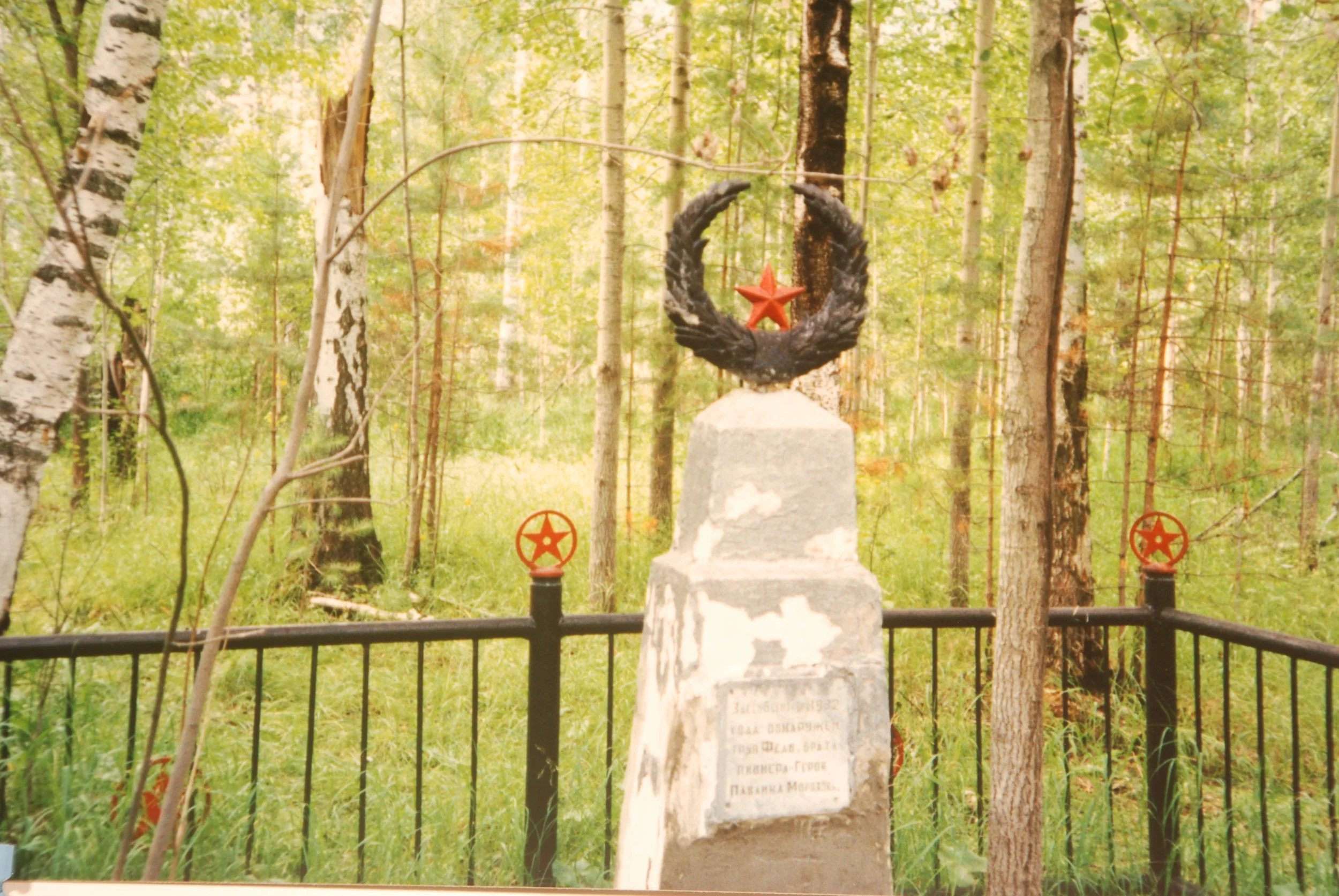 DSC_0101.jpg