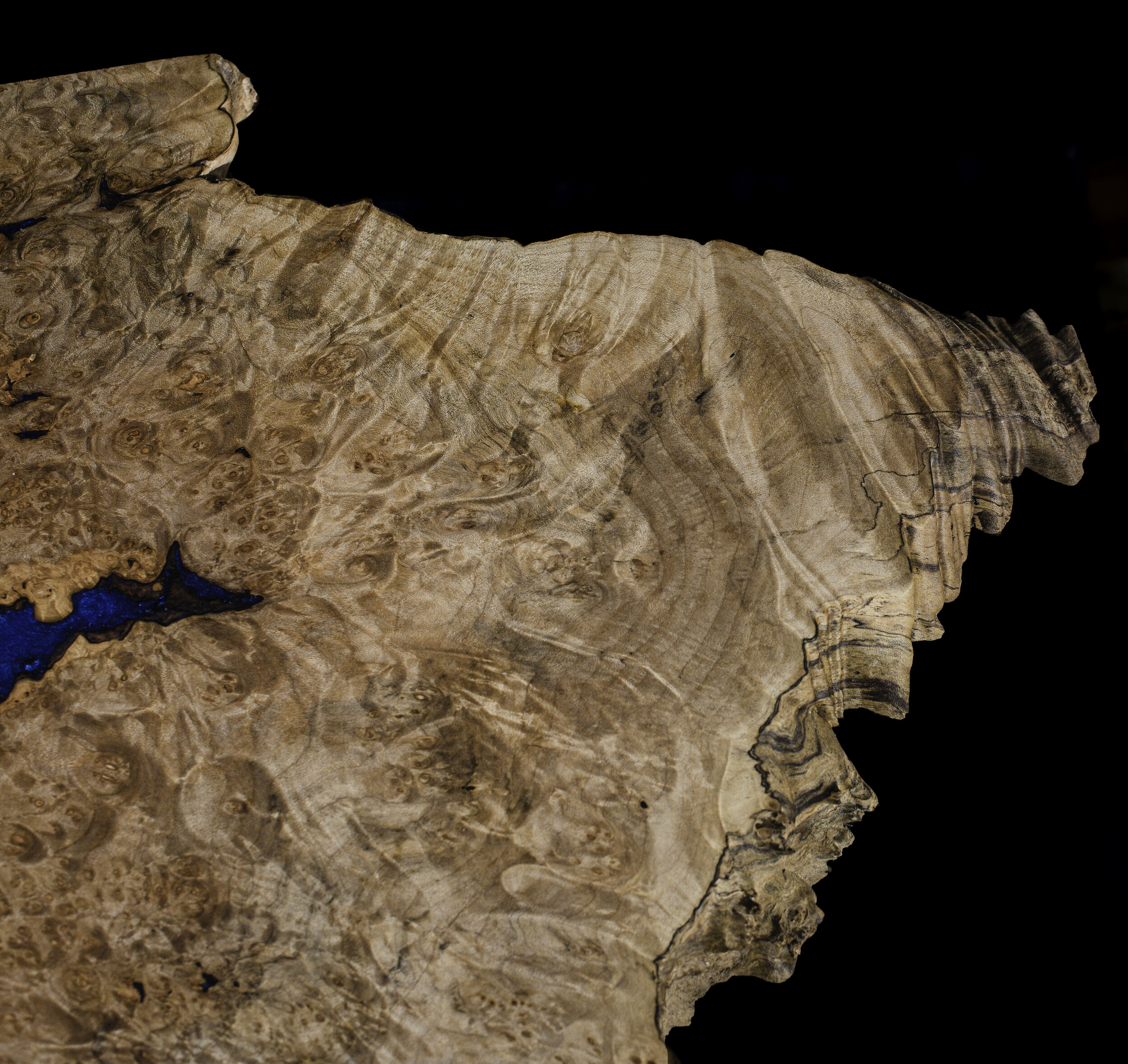 Custom Maple Burl Coffee Table
